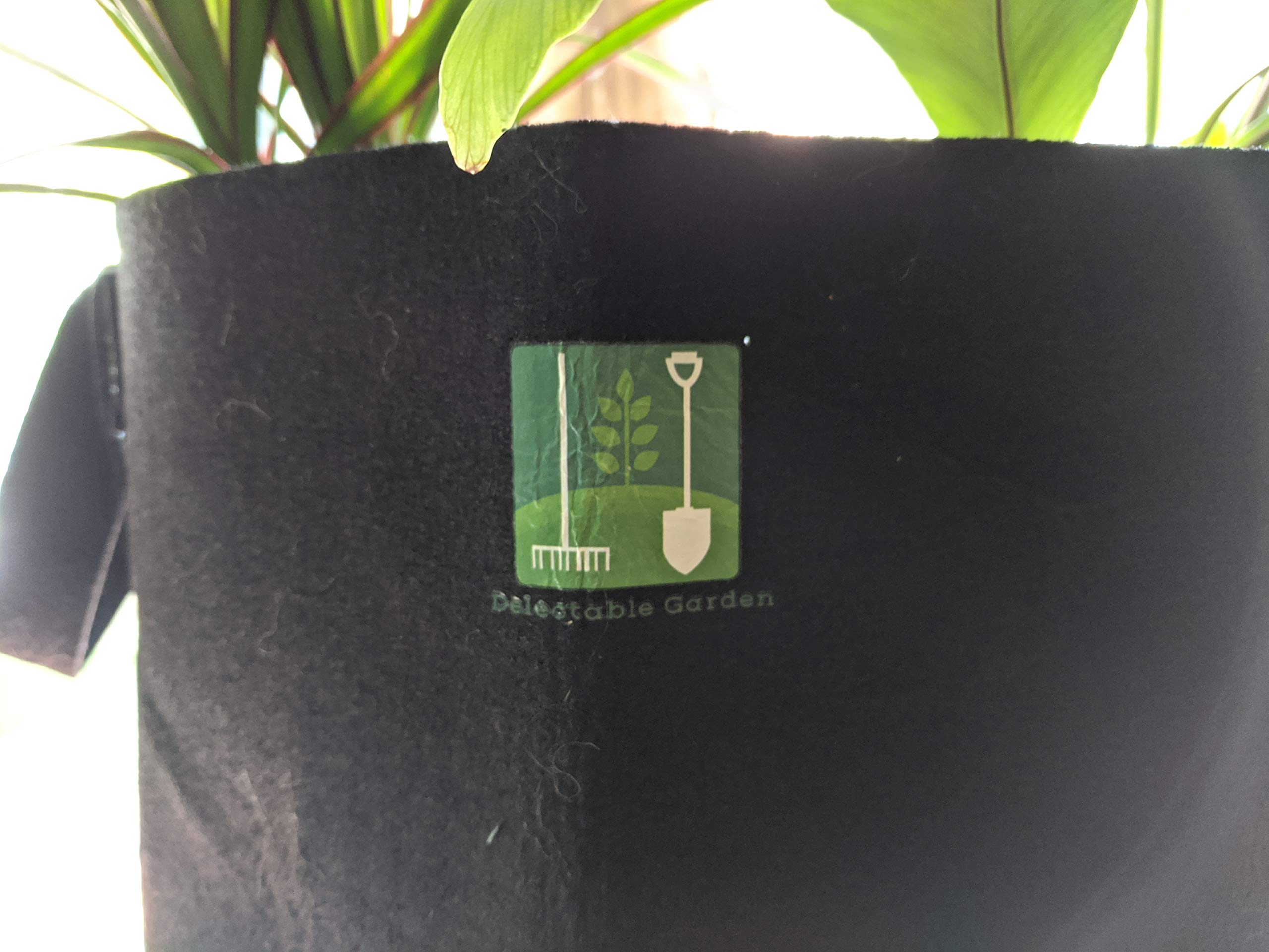 5 Gallon Plant Grow Bags - Heavy Duty Non-Woven Aeration Fabric Pots with Handles, Reinforced Weight Capacity & Ultra Durable for Indoor/Outdoor Gardening (Black) - Perfect for Vegetables, Flowers & Herbs
