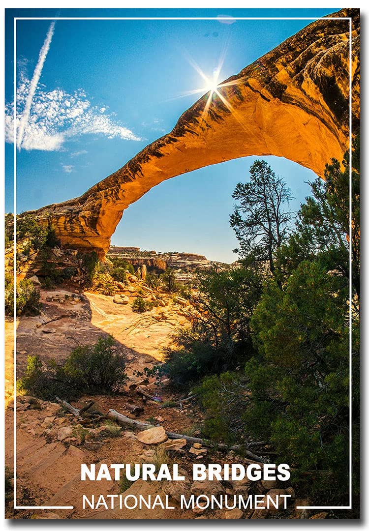 Natural Bridges National Monument Utah Souvenir - 2.5