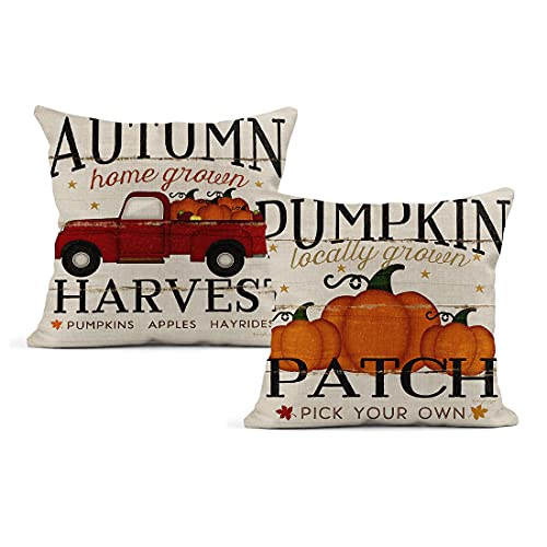 Autumn Harvest