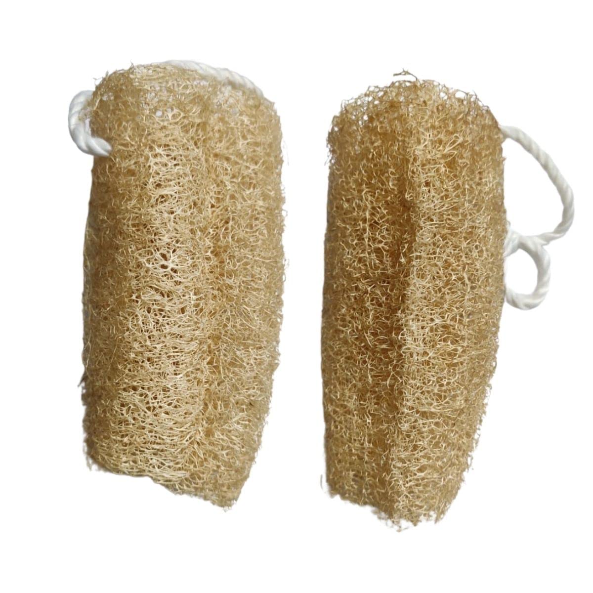 Organic Loofah Sponge for Bath & Shower - Natural Exfoliating Body Scrubber for Face, Back & Skin - Eco-Friendly Bath Sponge for Men & Women (Pack of 2) - Perfect for Spa, Gym & Travel Use