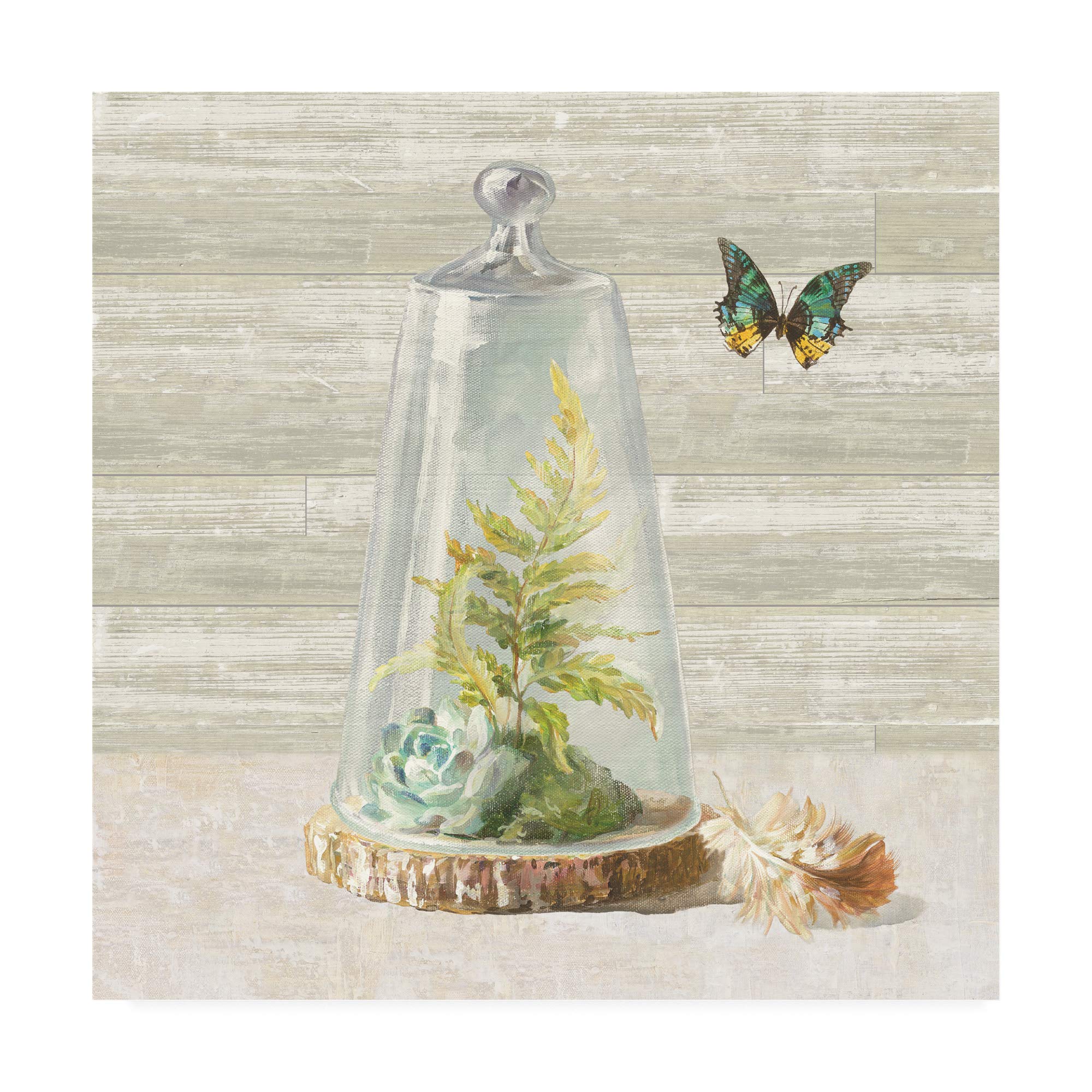 Danhui Nai Succulent Garden IV Fine Art Print - 18x18 Inches Wall Decor for Living Room, Bedroom & Office | Botanical Painting for Home & Office Decor