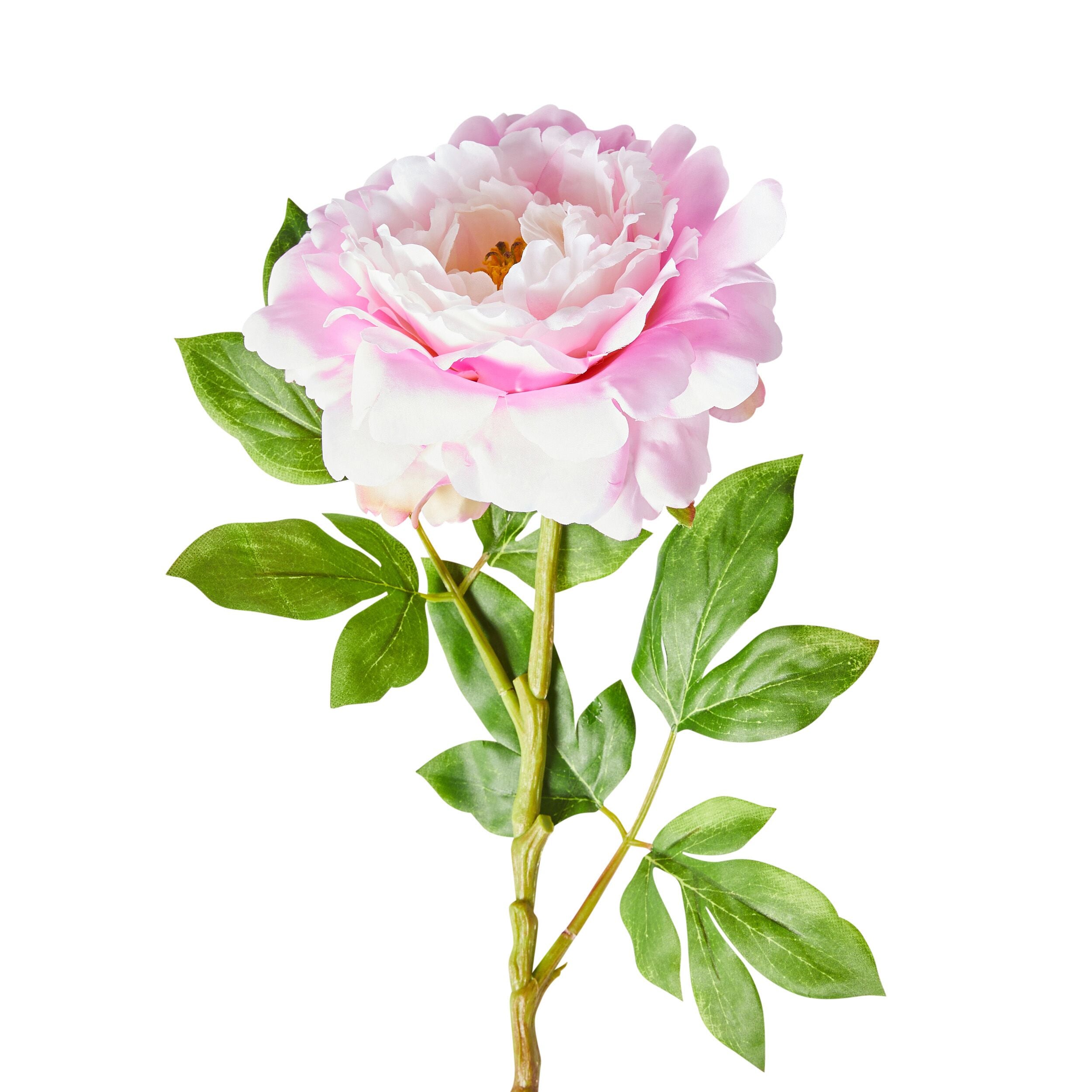 Acacia Peony Pale Pink Bloom 78cm Artificial Silk Flower Bouquet - Perfect for Wedding Centerpieces, Home Decor & Party Arrangements