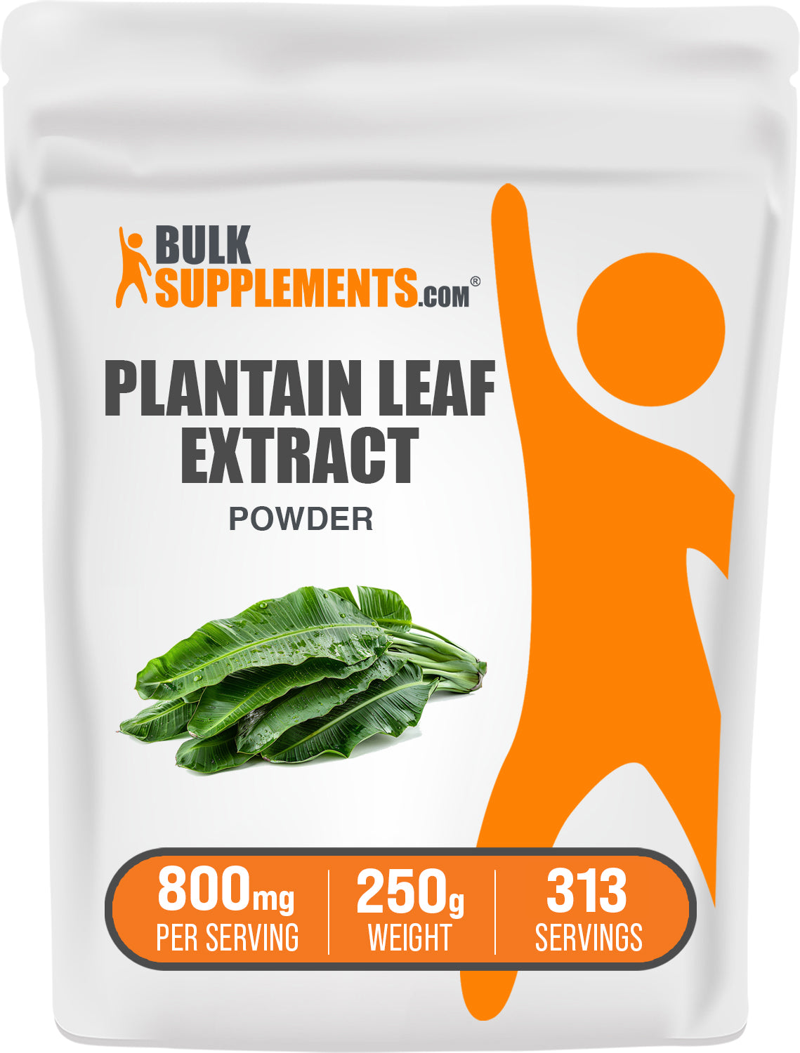 Organic Plantain Extract Powder - 100% Pure, Non-GMO, Vegan-Friendly for Digestive Health & Immune Support - Perfect for Smoothies, Teas, and Herbal Remedies