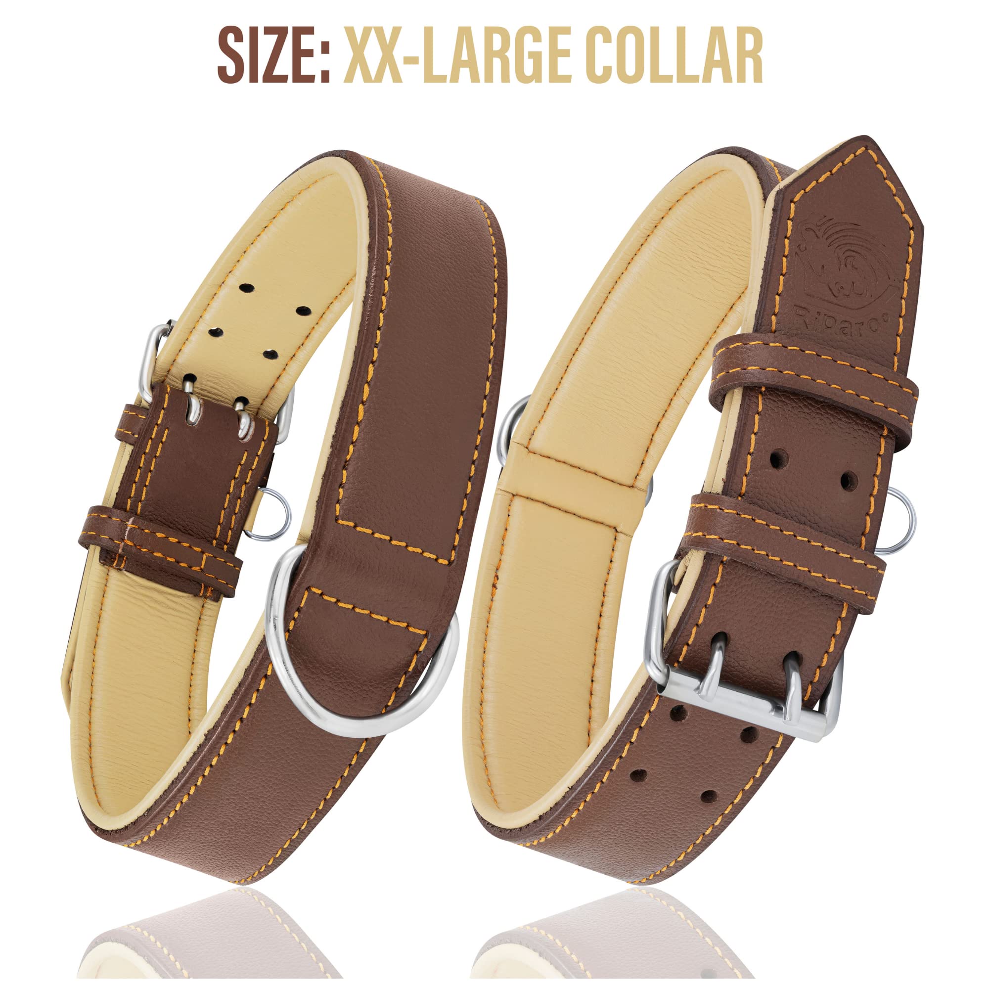 Premium Genuine Leather Dog Collar for Medium Dogs - Adjustable 13.5