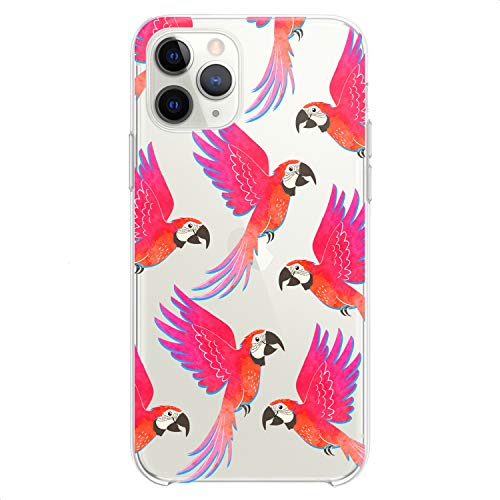 Colorful Parrots