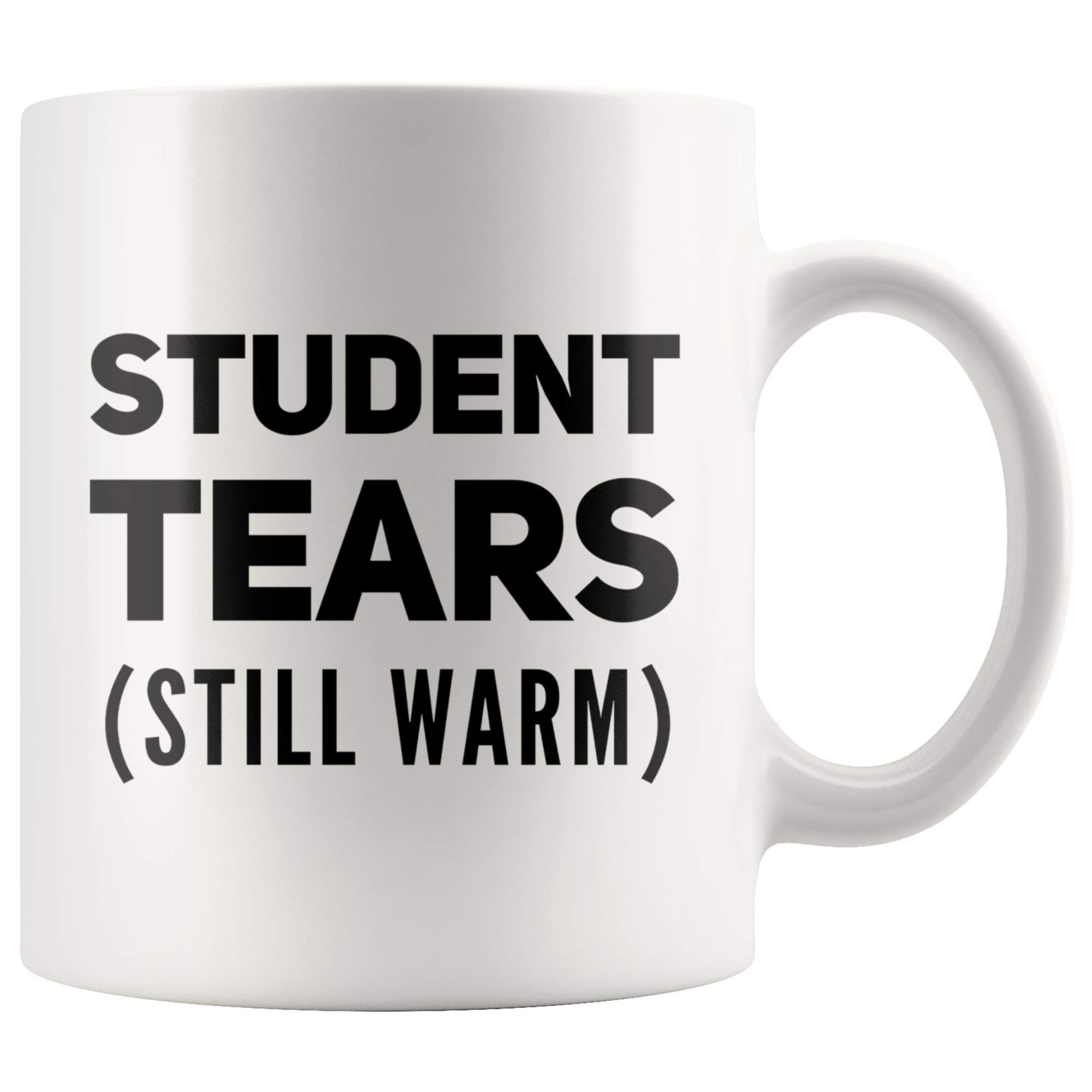 Funny Teacher Gift Mug - 11 oz Best Teacher Ever Coffee Cup for Classroom & Office