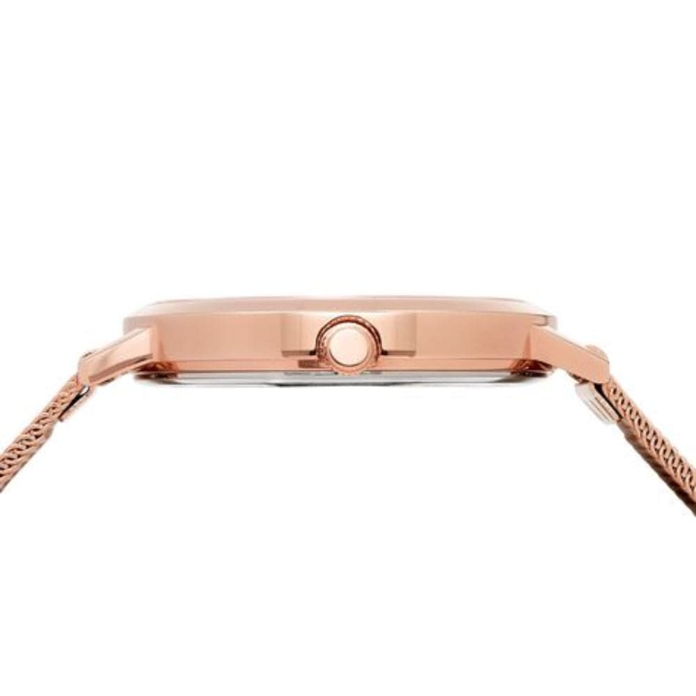 BERING 13434 366 Classic Women's Watch - Elegant Stainless Steel Analog Timepiece with Mineral Crystal, Water Resistant - Perfect for Office, Party & Everyday Wear