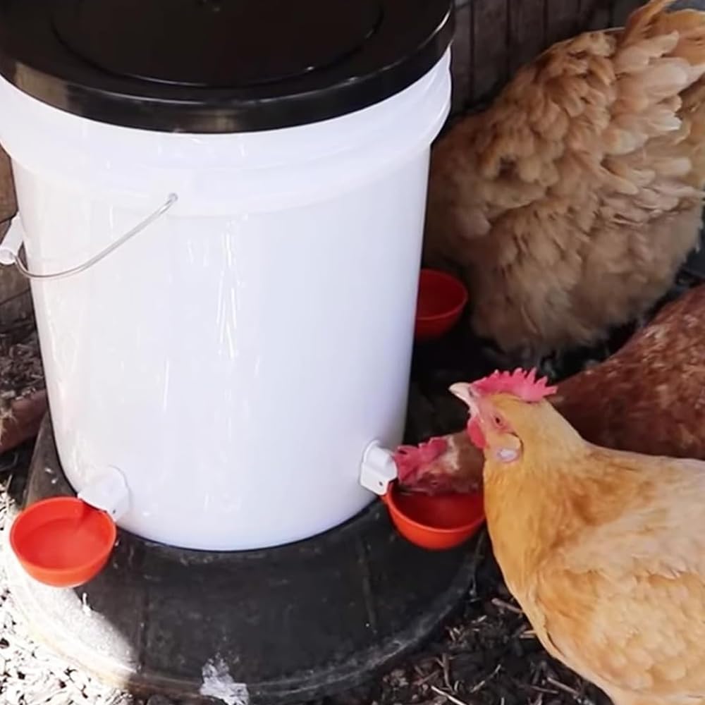 12 Pack Automatic Nipple Drinking Cups for Birds - Upgraded Poultry Waterer for Chickens, Pigeons & Quails | Durable & Leak-Proof Design for Coops, Cages & Aviaries
