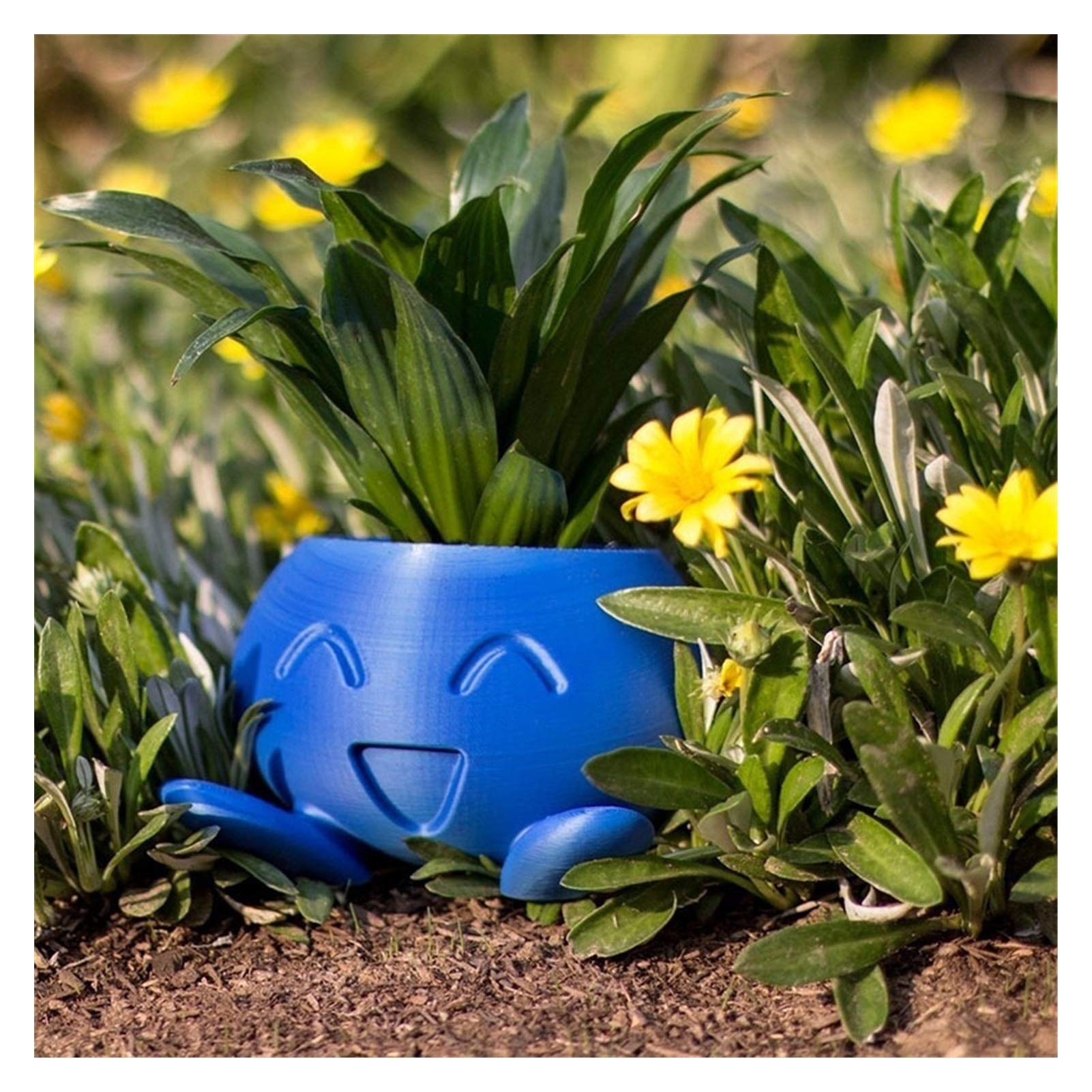 Oddish Succulent Planter - Small Blue Flower Pot for Succulents, Cacti & Air Plants | Perfect for Home, Office & Garden Decor