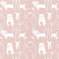 Pedigree Blush