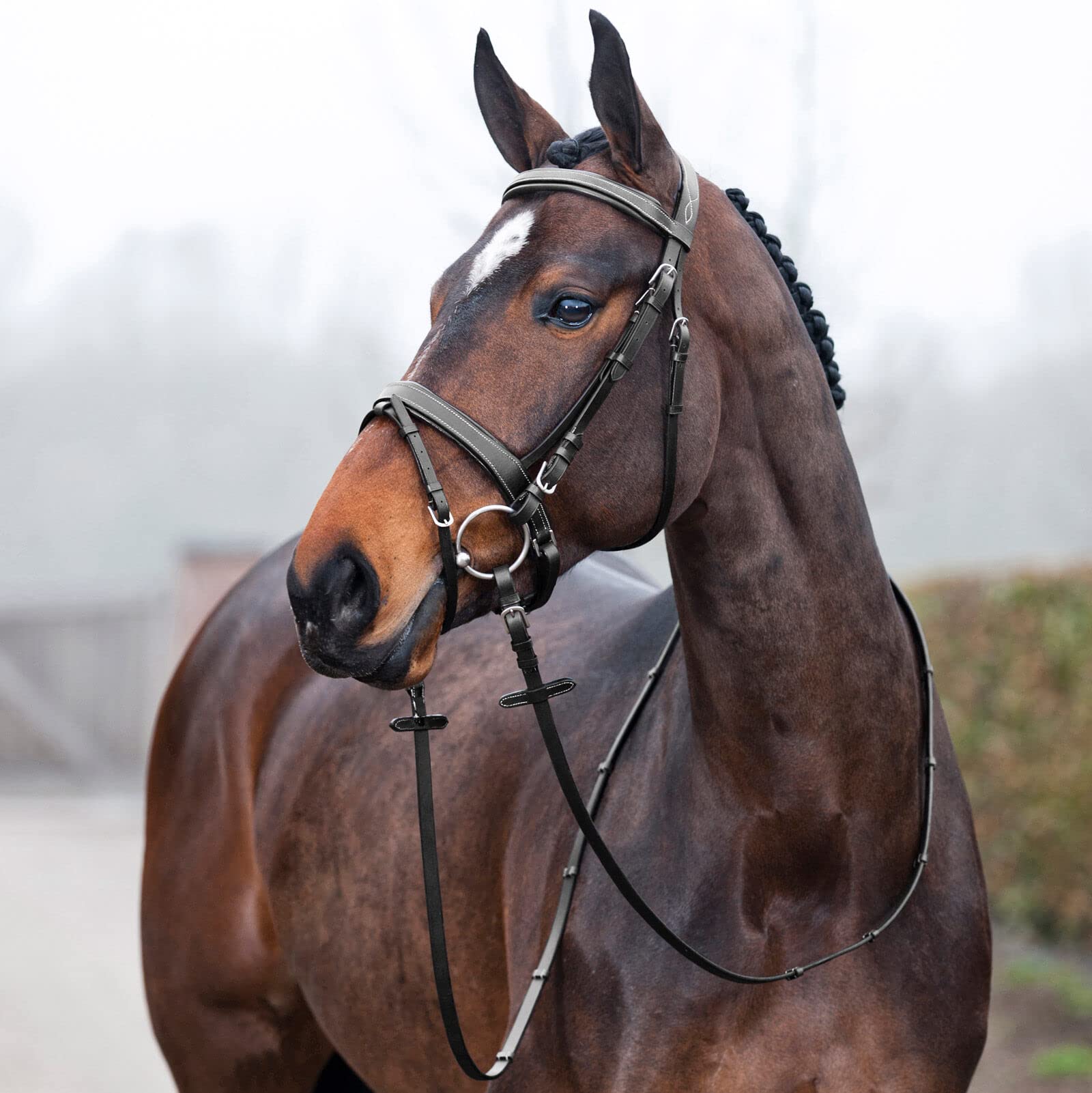 HORZE Venice Padded Synthetic Leather Snaffle Bridle with Flash Noseband & Reins - Comfortable Equestrian Horse Riding Equipment for Dressage & Show Jumping