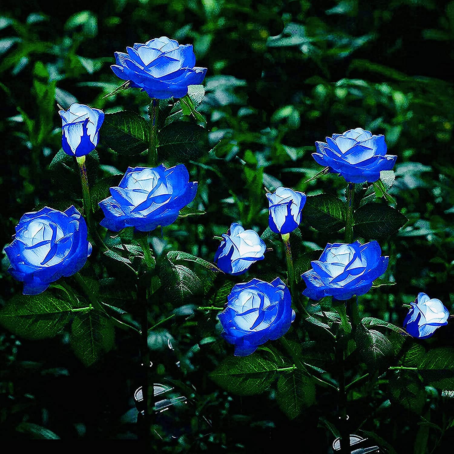 FELISHINE 2 Pack Solar Powered LED Rose Lights - Waterproof Outdoor Garden Lights with 10 Realistic Roses for Patio, Pathway, Courtyard, Lawn Decoration (Blue) | Perfect for Romantic Nights, Wedding Decor & Landscape Lighting