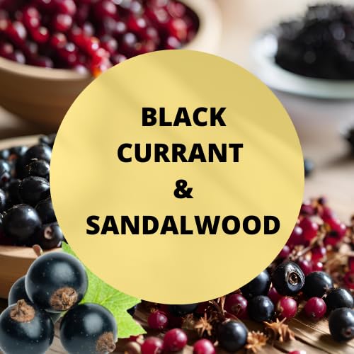 Premium Black Canyon Black Currant & Sandalwood Scented Body Lotion with Lanolin and Jojoba Oil - 1 Gallon (2 Pack) - Deep Moisturizing for Dry Skin, Perfect for Spa, Massage & Daily Hydration