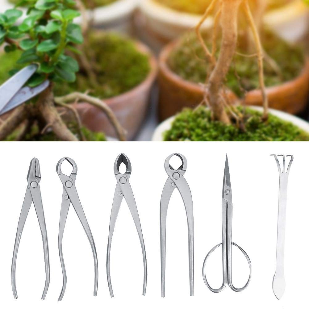Premium 6-Piece Stainless Steel Bonsai Trimming Tool Set - Durable Gardening Shears for Pruning, Shaping & Maintenance - Perfect for Bonsai Trees, Fruit Trees & Garden Plants - Ideal for Beginners & Professional Gardeners