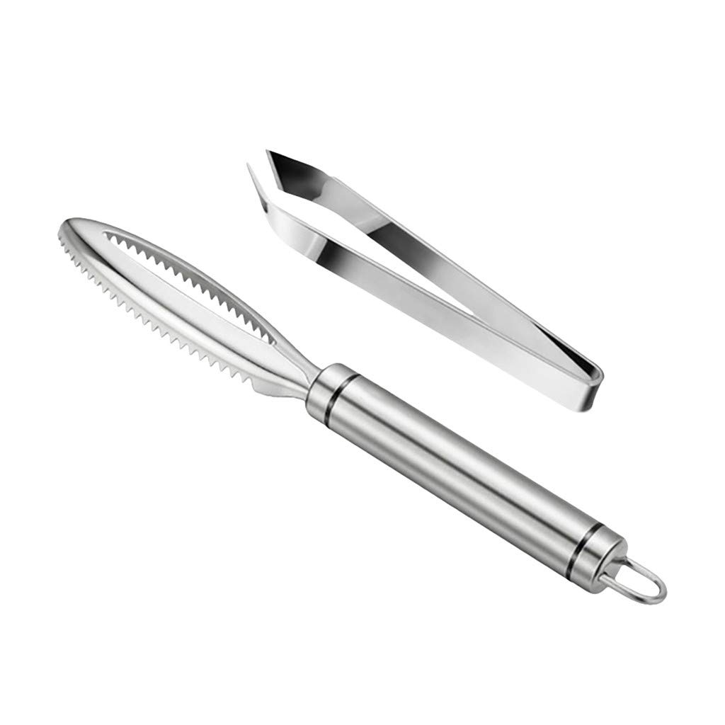 Stainless Steel Fish Scale Remover & Scraper with Brush - Kitchen Tweezers for Fast & Easy Fish Descaling - Perfect for Home Cooking, BBQ, and Outdoor Fishing (Multicolor, One Size)