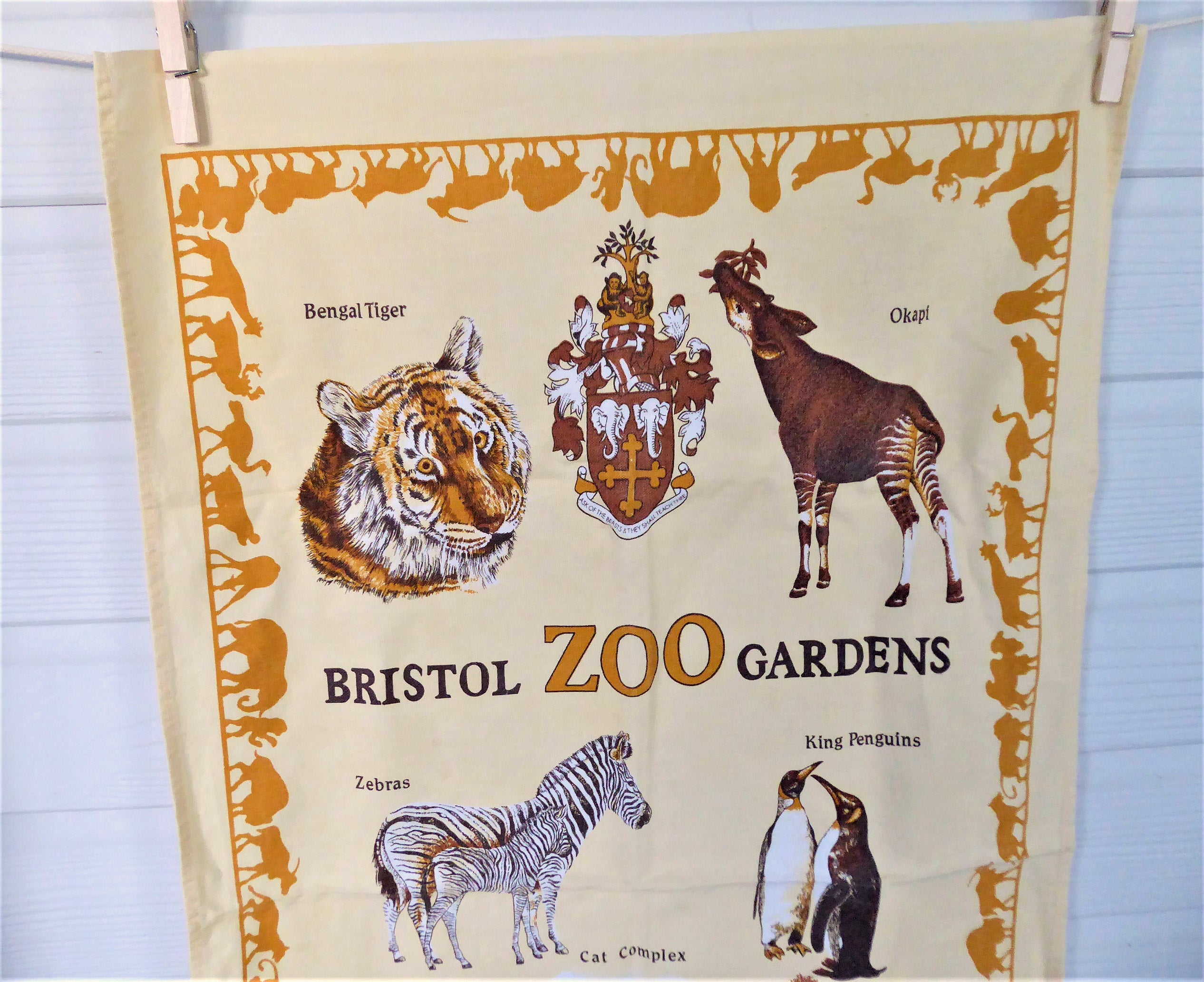 Premium Cotton Tea Towel - Bristol Zoo Gardens England Design with Penguins & Tigers - Absorbent Dish Towel for Kitchen, Dining & Gifts