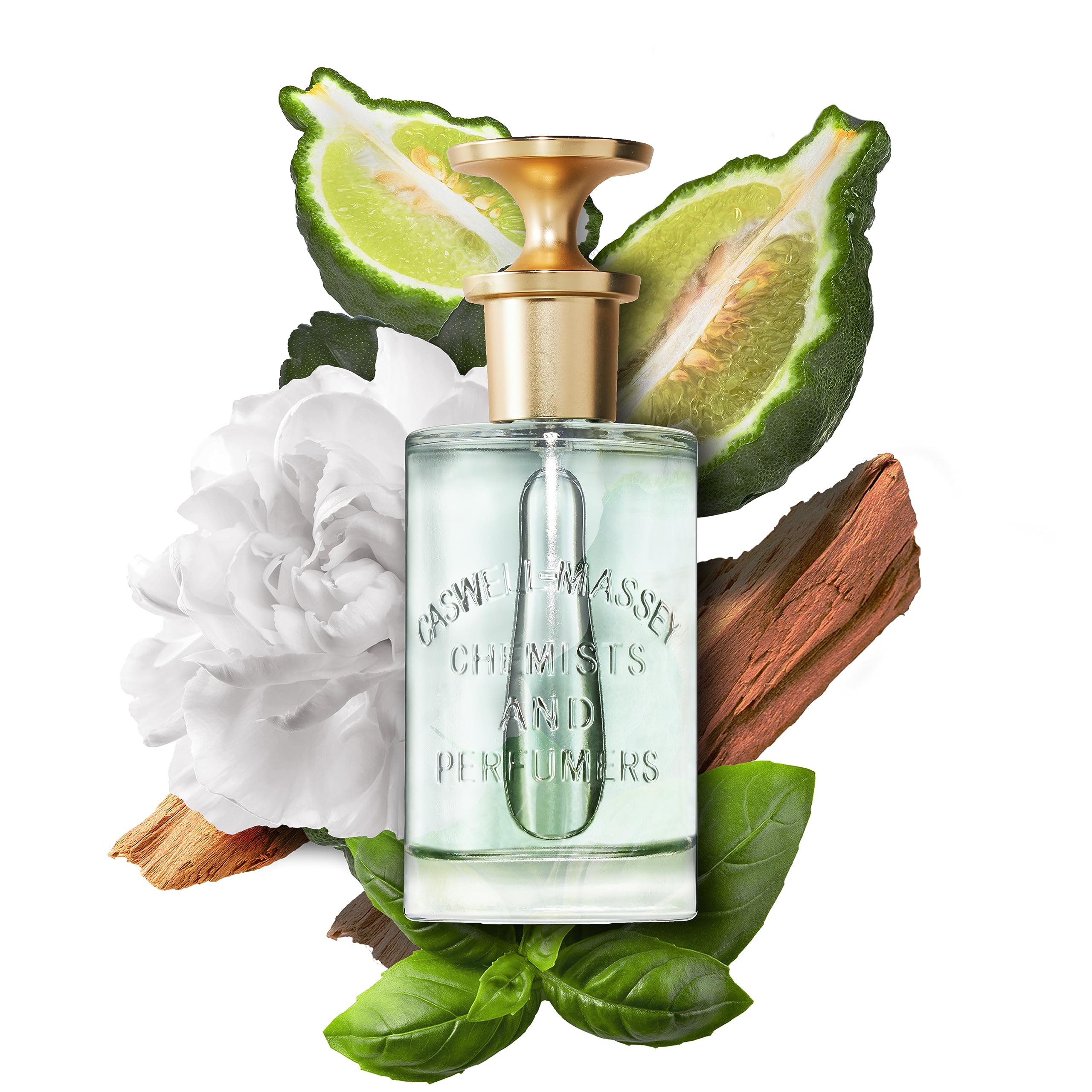Caswell-Massey Club Eau de Parfum for Men - 3.4 Fl Oz Citrus Herbal Floral Cologne | Fresh & Elegant Fragrance for Everyday Wear, Date Nights & Special Occasions