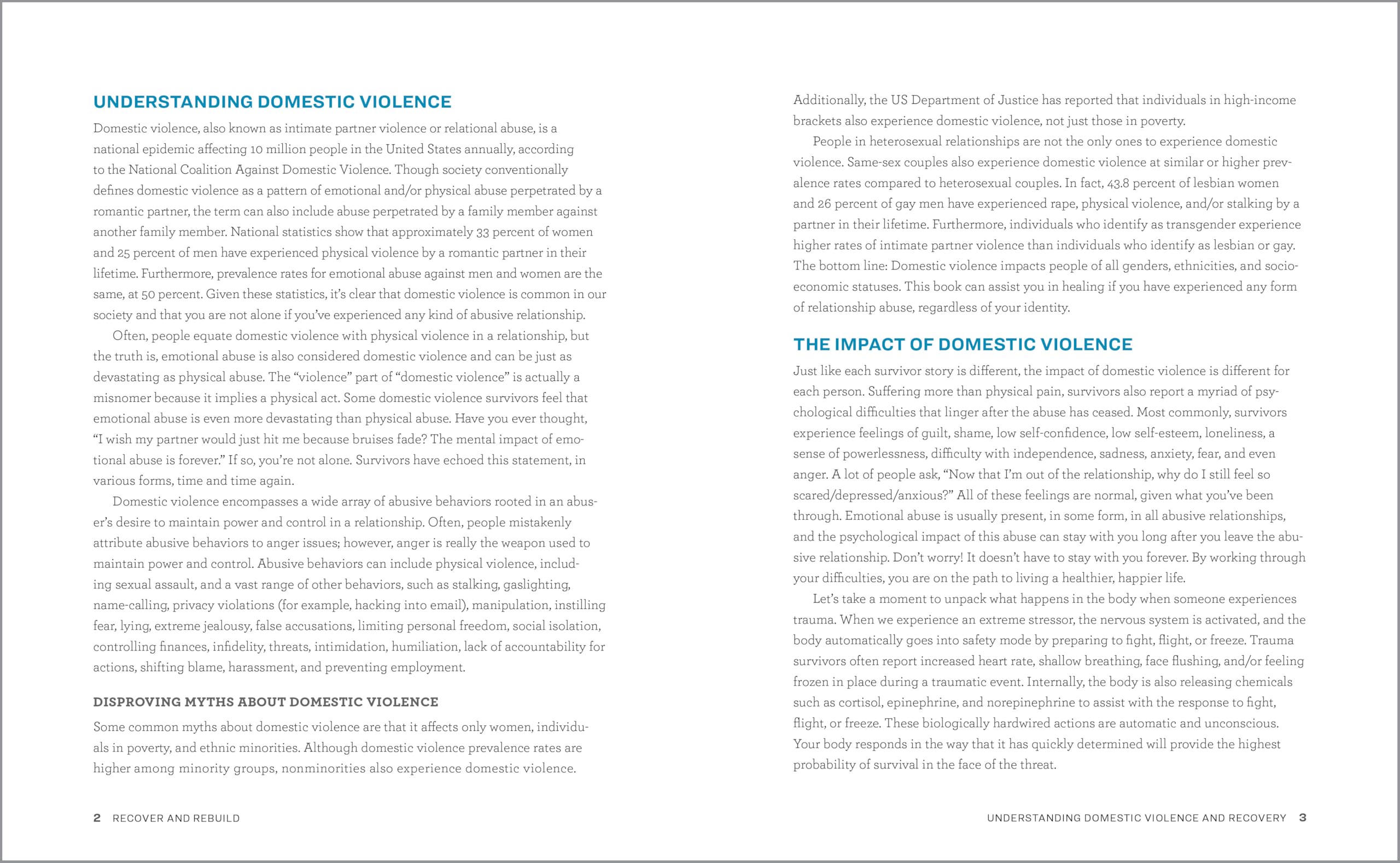 Healing from Domestic Violence Workbook: A Guide to Recovery and Rebuilding After Partner Abuse - Perfect for Therapy, Self-Help & Support Groups
