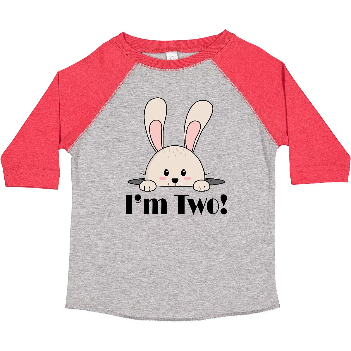 2nd Birthday T-Shirt for 2 Year Old Boys - Cute Toddler Graphic Tee - Perfect for Birthday Parties & Family Photos