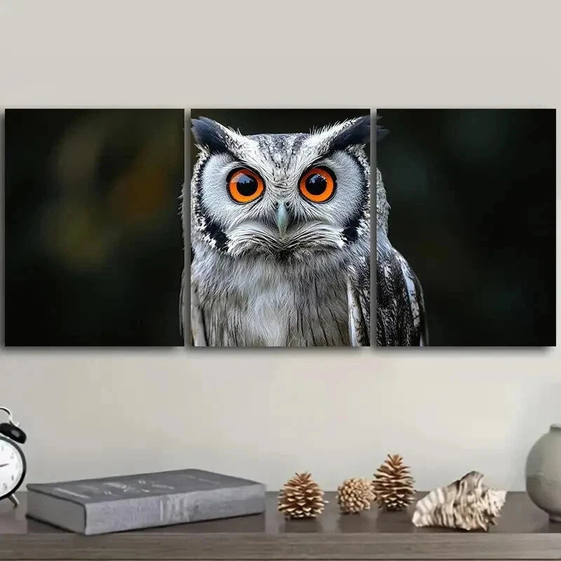 3-Piece Owl Wall Art Set - Orange Eyes Canvas Framed Print 50x70cm | High Quality Australian Made Ready-to-Hang Home Decor | Perfect for Living Room, Bedroom & Office Wall Decor