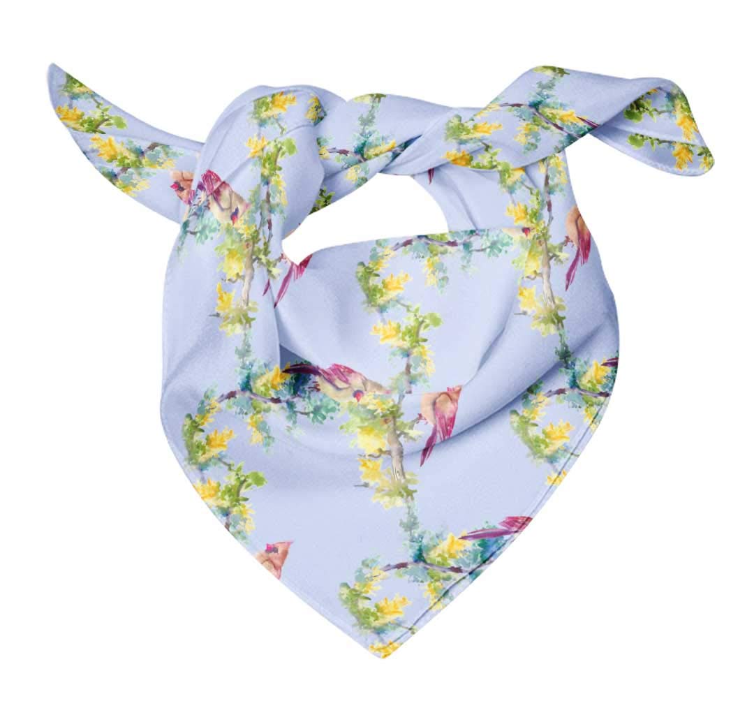 Bimba Printed Pure Silk Scarf for Women - Elegant Hair Wrap, Neck Scarf & Head Bandana - Perfect for Travel, Parties & Everyday Fashion Accessories