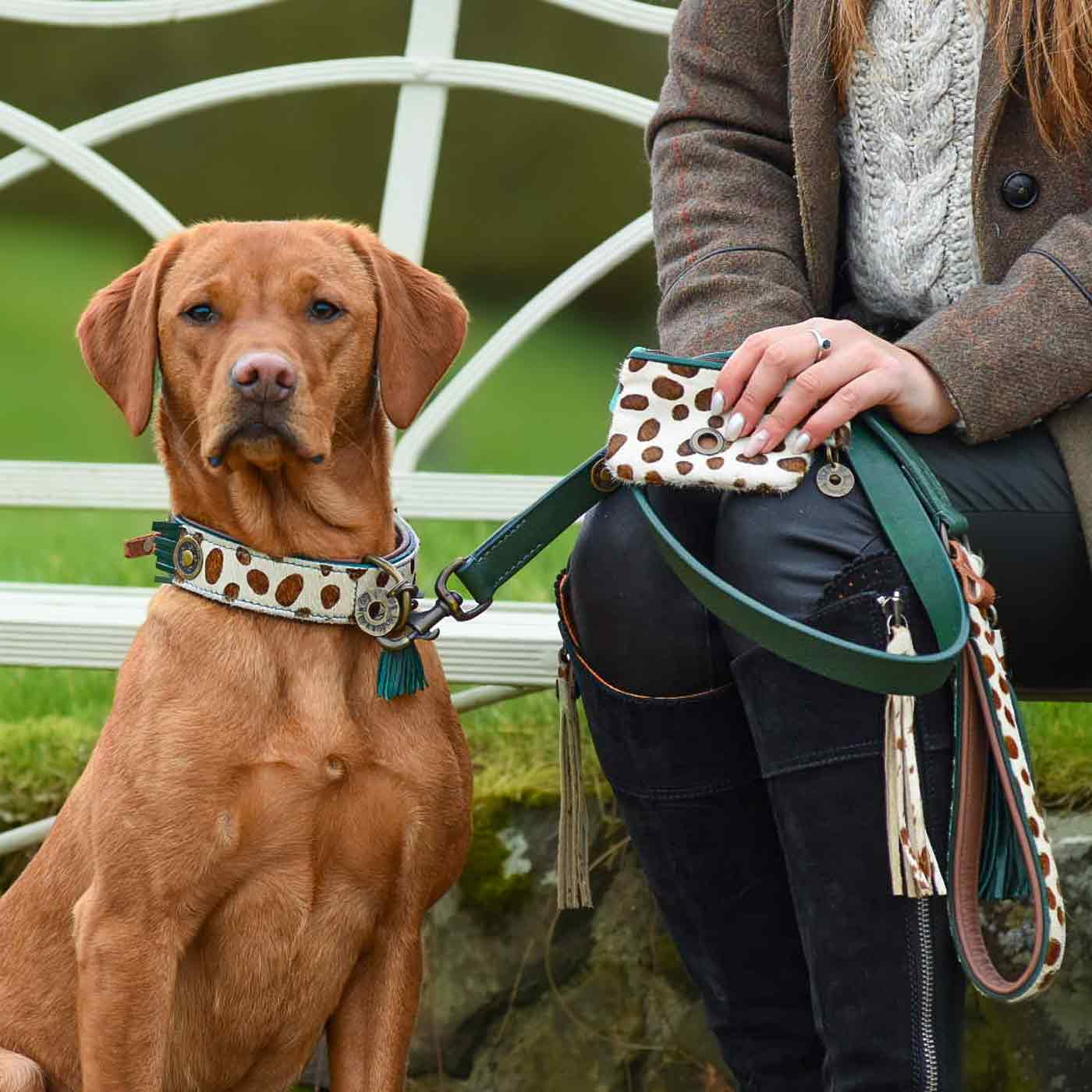 Premium Ivy Dog Leash by DWAM - Durable & Stylish Pet Walking Accessory for Small to Medium Dogs - Perfect for Daily Walks, Training & Outdoor Adventures