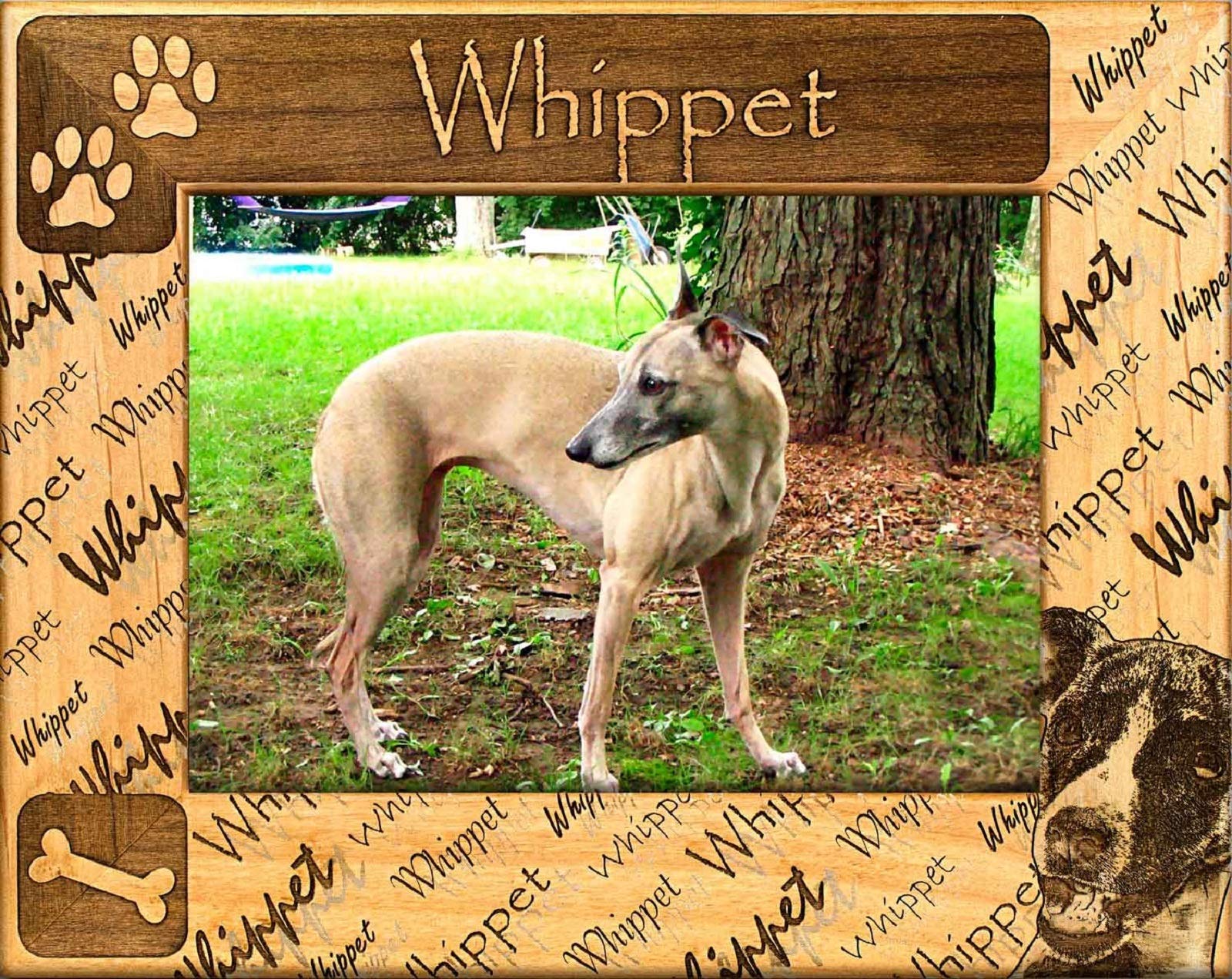 Whippet Laser Engraved Wood Picture Frame 5x7 - Handcrafted Dog Lover Gift for Home Decor, Office Desk & Pet Memorial Display