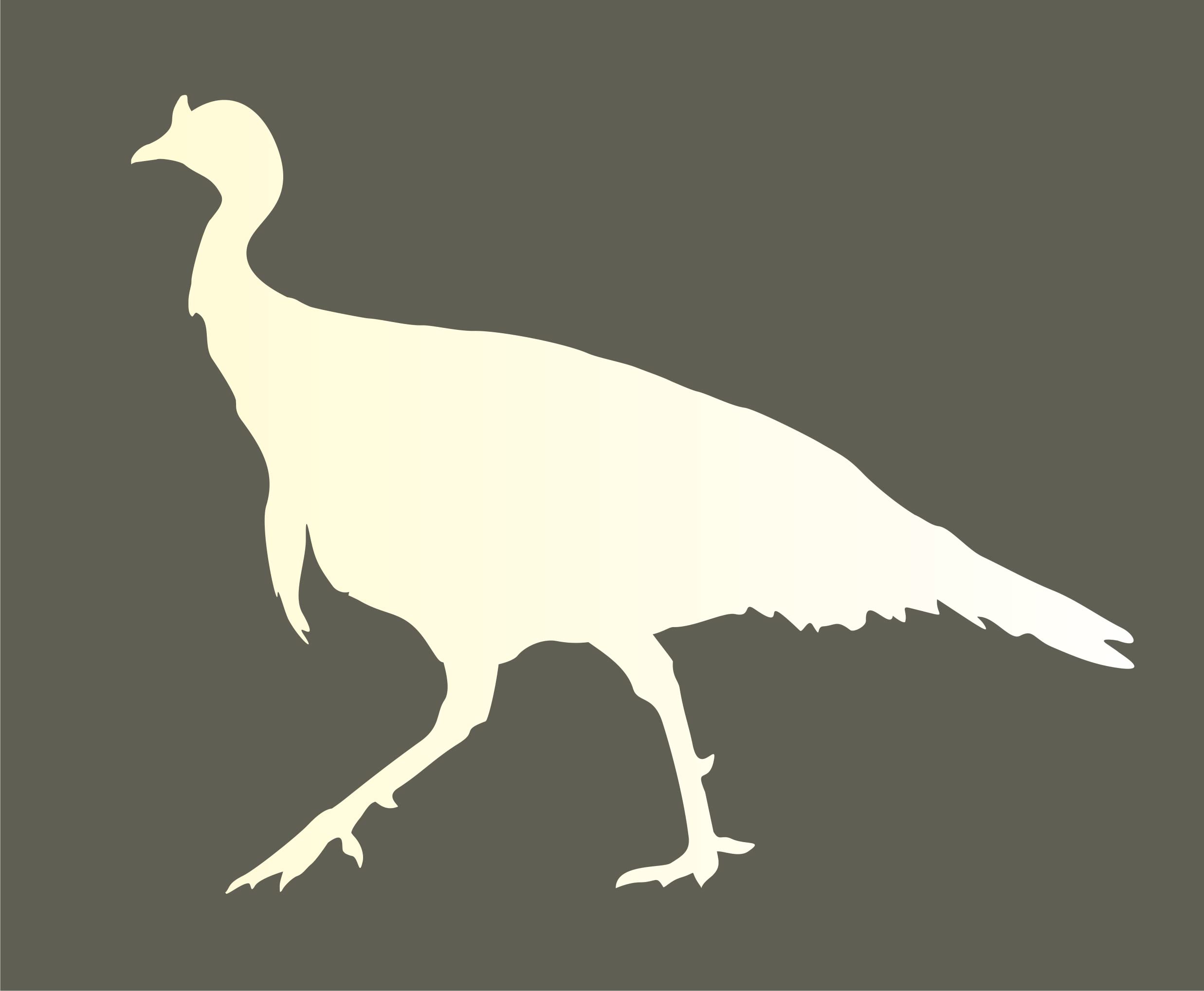 Joanie Wild Tom Turkey Stencils for Outdoor Hunting & Wildlife Decor - 8