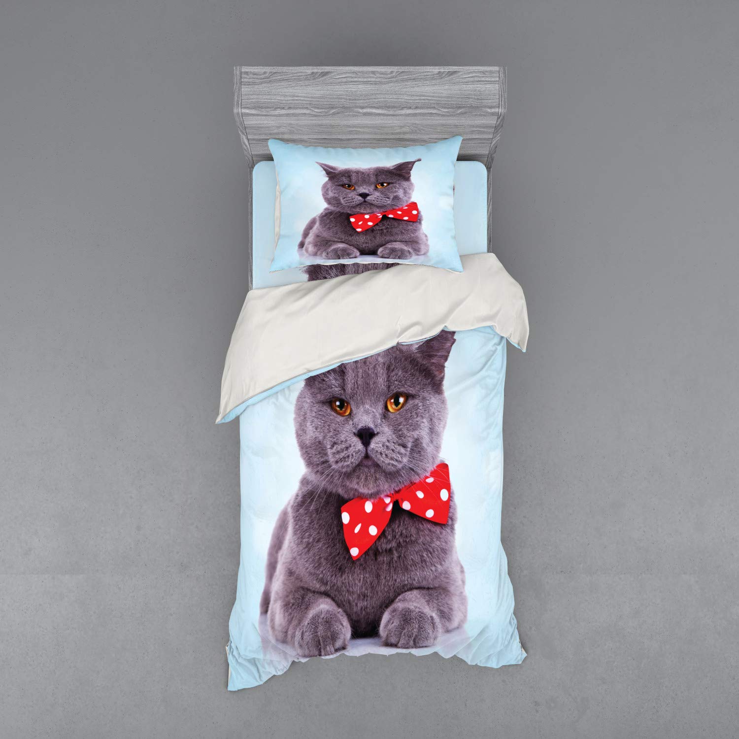 Ambesonne 3-Piece Cat Themed Duvet Cover Set - Tuxedo Grey Scottish Fold with White Polka Dots & Bow Tie Design, Twin XL Size in Pale Blue & Purple | Funny Cat Lover Bedding for Kids & Adults Rooms