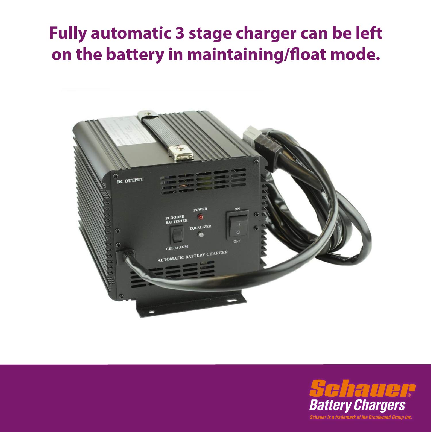 Yamaha G29 48V 15A Golf Cart Battery Charger - Schauer JAC1548H - Fast Charging for Yamaha Drive Golf Carts - Perfect for Golf Courses, Resorts & Home Use