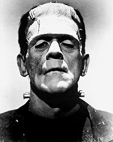 Boris Karloff The Bride of Frankenstein Movie Still Fridge Magnet - Classic Horror Film Collectible for Fans, Home Decor, Office & Gifts
