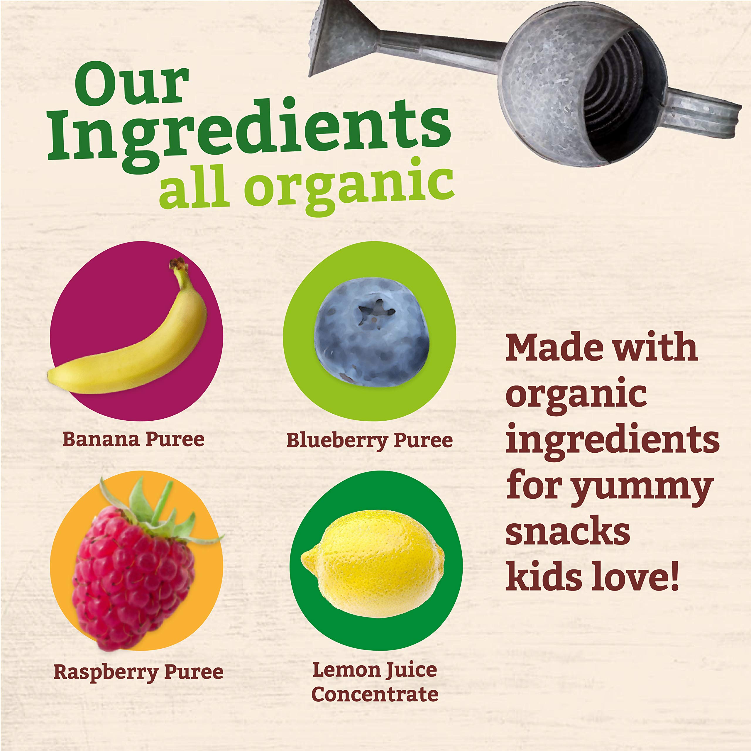 Organic Pumpkin Tree Peter Rabbit Fruit Snacks - 100% Pure Raspberry, Banana & Blueberry Blend, 4oz Squeeze Pouches (Pack of 10) | Healthy Kids Snack for Lunchboxes, Travel & On-the-Go Nutrition