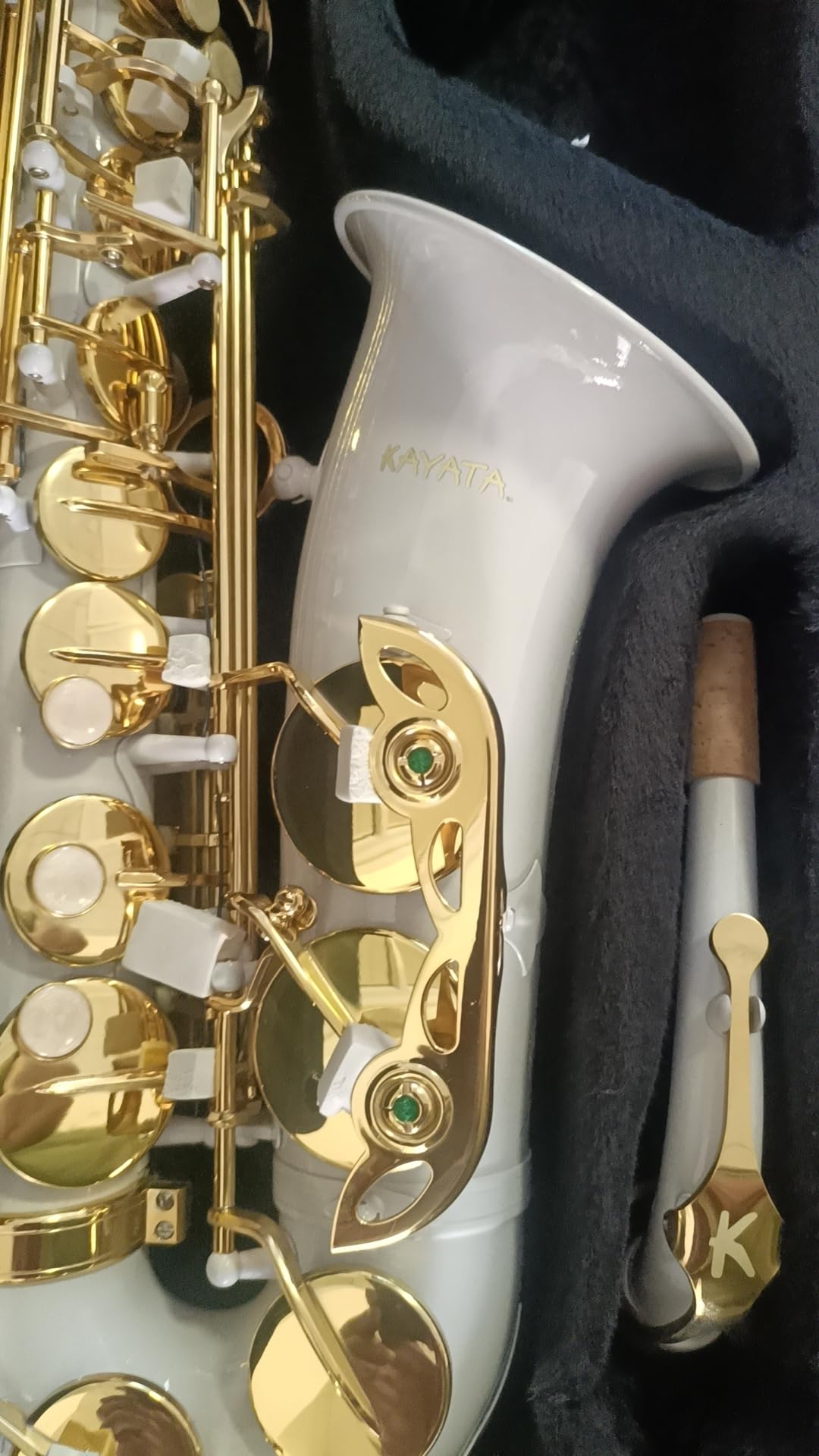 Professional Eb Alto Saxophone with F# Key - White Body & Gold Lacquer Keys | Includes Canvas Case, Gloves, Reeds & Care Kit | Perfect for Beginners, Students & Jazz Performers