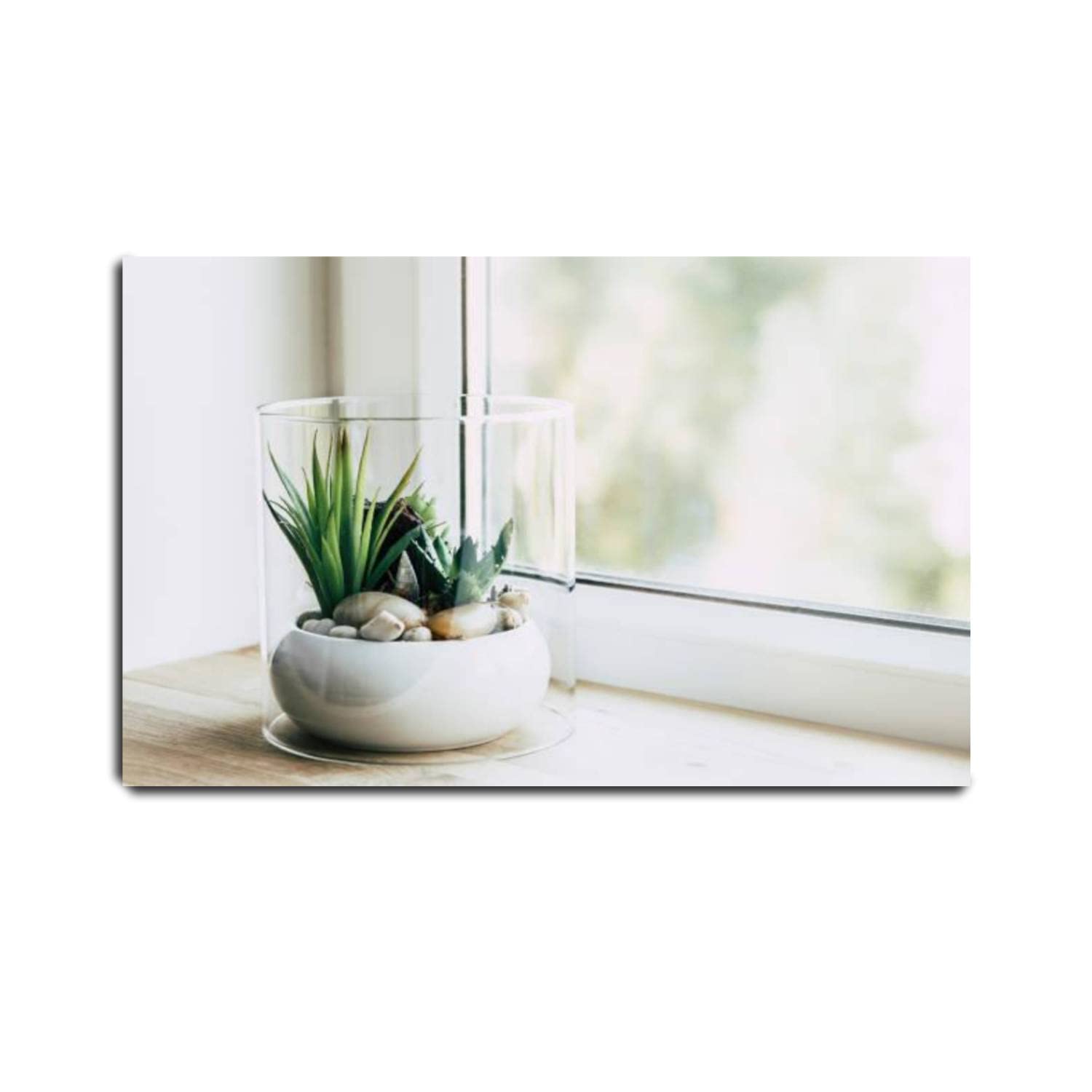 VIUBGCPS 20x32 Inch Canvas Print Wall Art - Modern Framed & Stretched Poster for Home Decor, Tabletop Glass Terrarium for Plants on Window Sill | Perfect for Living Room, Bedroom & Office Spaces