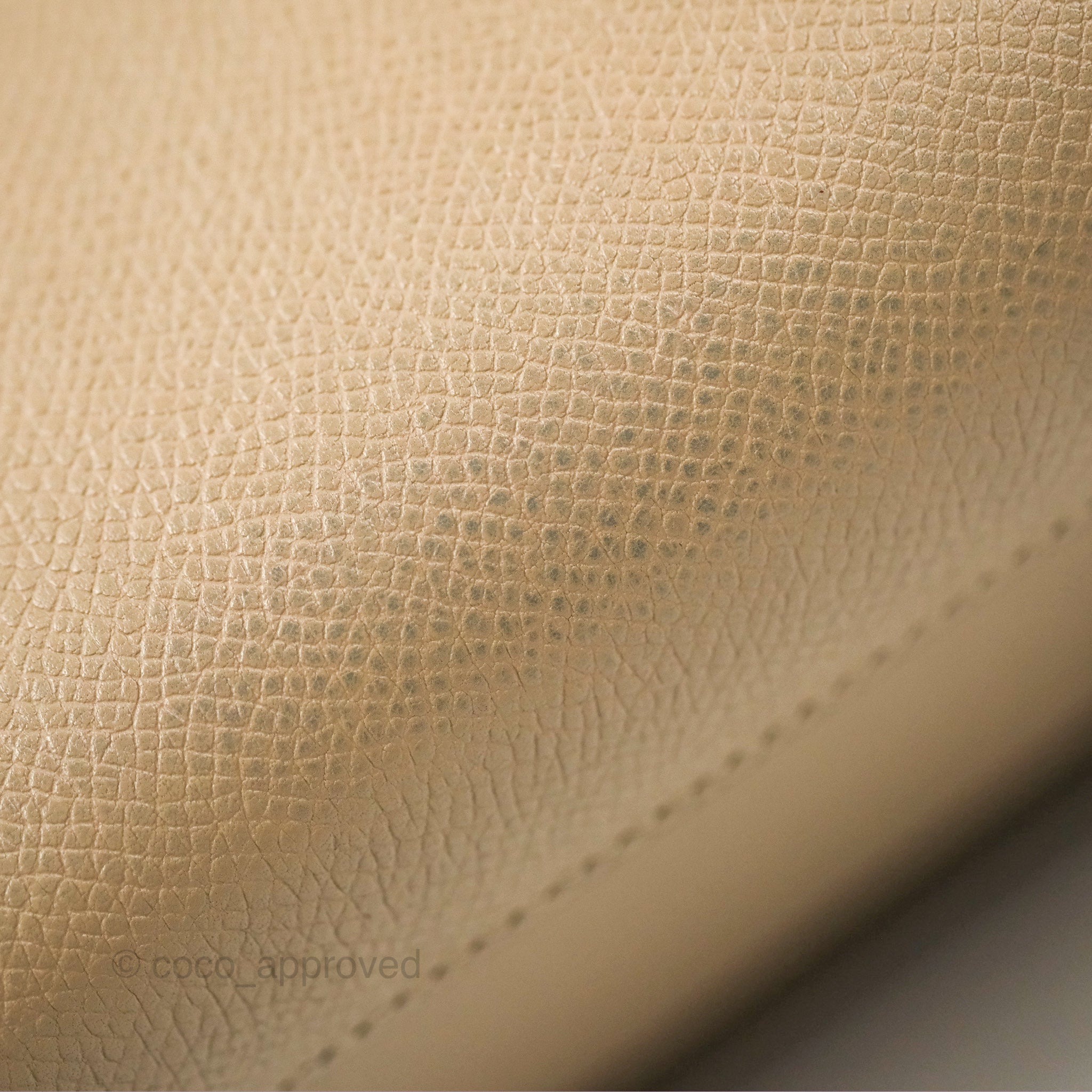 Celine Nano Belt Bag in Light Taupe Grained Calfskin with Gold Hardware - Perfect for Everyday Use, Work & Travel