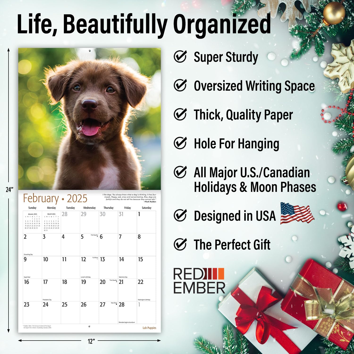 RED EMBER Lab Puppies 2025 Wall Calendar - 12 Month Large Format (12x24 Inches) with Thick Sturdy Paper - Perfect Gift for Dog Lovers - Ideal for Home, Office, or Classroom Decoration