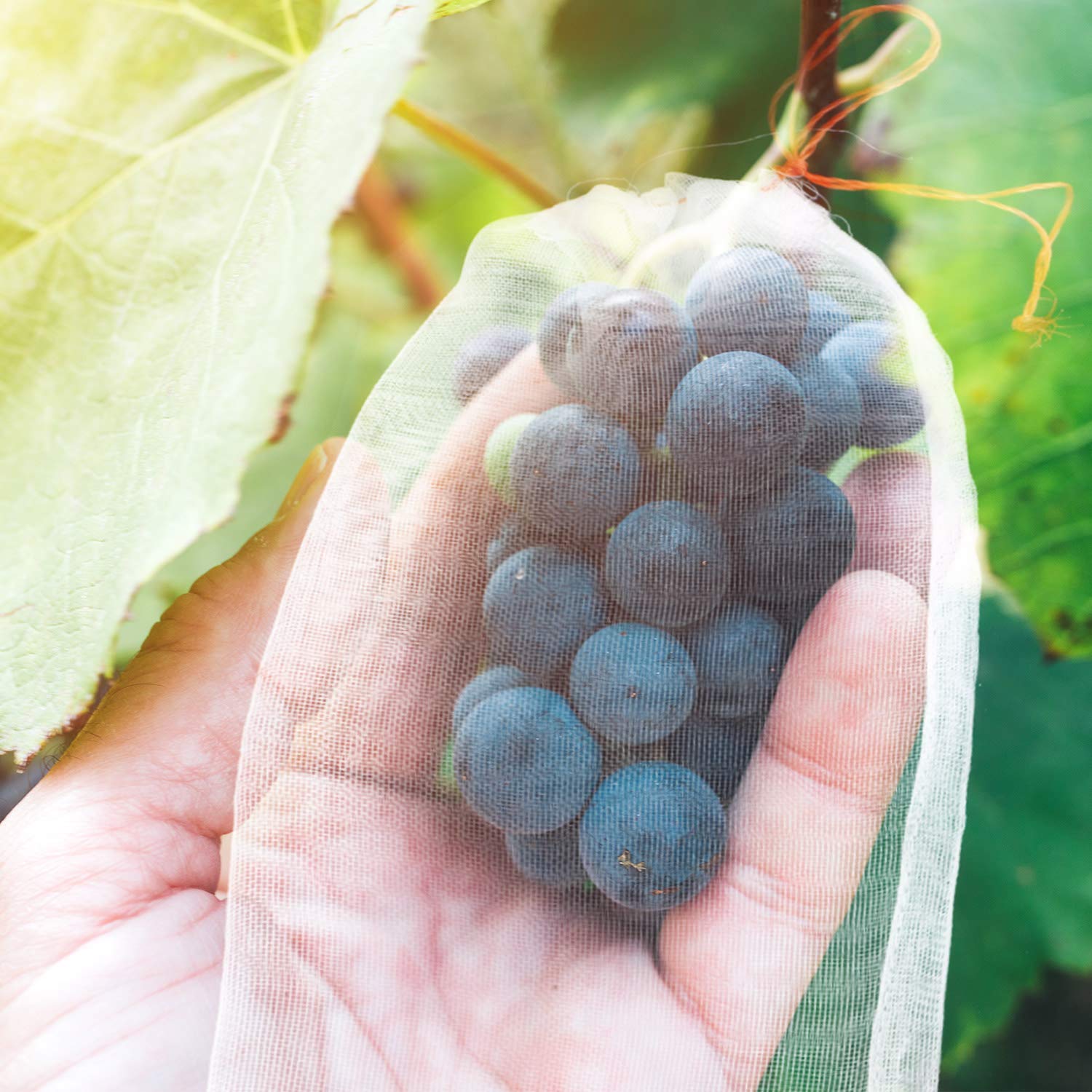 60 Pack Reusable Nylon Mesh Fruit Protection Bags - 6x10 Inch Garden Plant Cover for Insect & Bird Barrier - Durable Flower & Fruit Netting for Organic Gardening, Apple Trees, Grape Vines & Berry Bushes