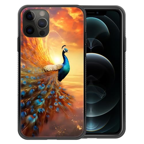 Sunshine Peacock