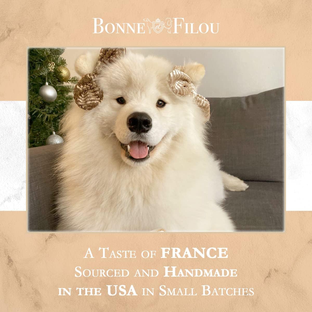 Bonne et Filou Gourmet Peanut Butter Cupcakes for Dogs – Healthy & Delicious Human-Grade Dog Treats – 6 Pack – Perfect for Training Rewards & Special Occasions