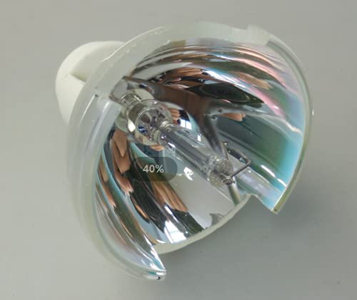 Original SP LAMP 090 / SPLAMP090 Replacement Projector Bulb - DLP/LCD Compatible with INFOCUS IN5312a IN5316A IN5316HDa - Perfect for Home Theater, Office Presentations & Classroom Projectors