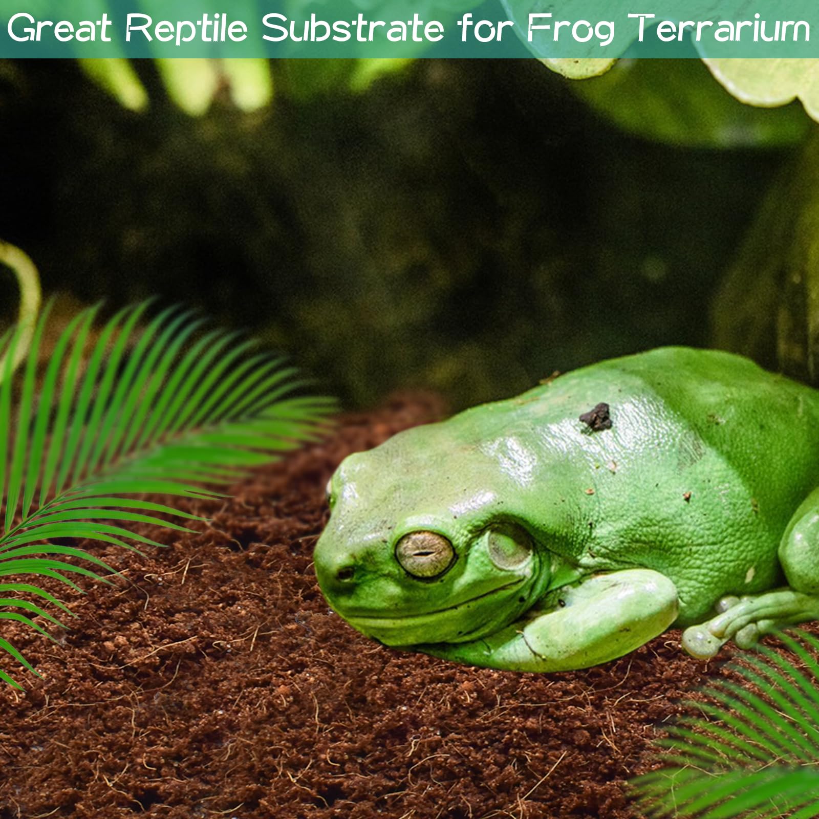 Premium 4-Pack Coconut Fiber Substrate - 100% Natural Coco Coir for Reptile Tanks, Terrariums & Aquariums | Ideal for Tortoise Habitats, Bearded Dragons, Leopard Geckos, Snakes, Tarantulas, Worm Bins & Hermit Crabs | Perfect Moisture Retention & Odor Control for Healthy Pets