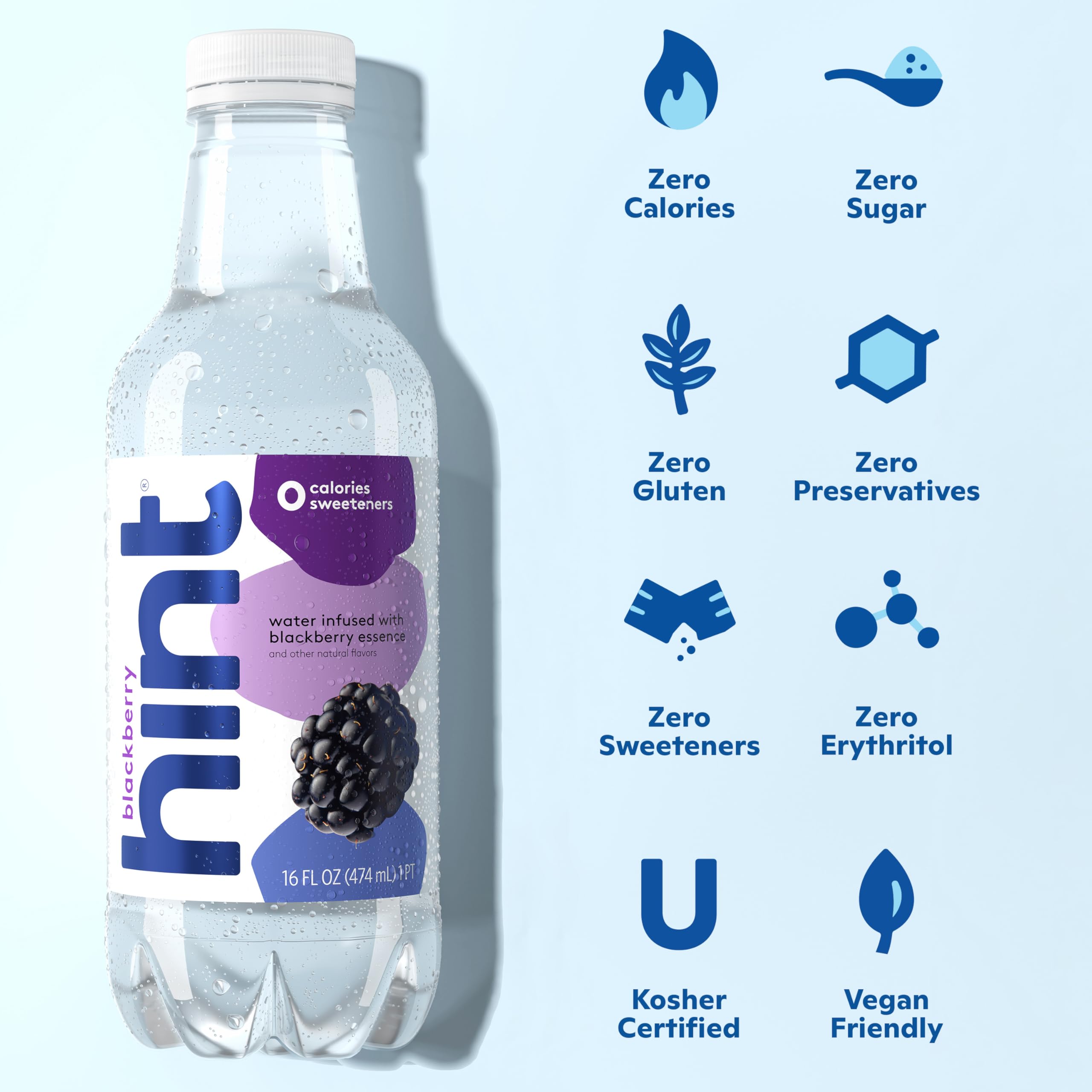 Hint Water Blackberry - 100% Natural Infused Water with Real Fruit, Zero Sugar, Zero Calories, No Artificial Sweeteners or Preservatives, 16 Fl Oz Bottles (Pack of 12) - Perfect for Hydration, Workouts, Office & Healthy Lifestyle
