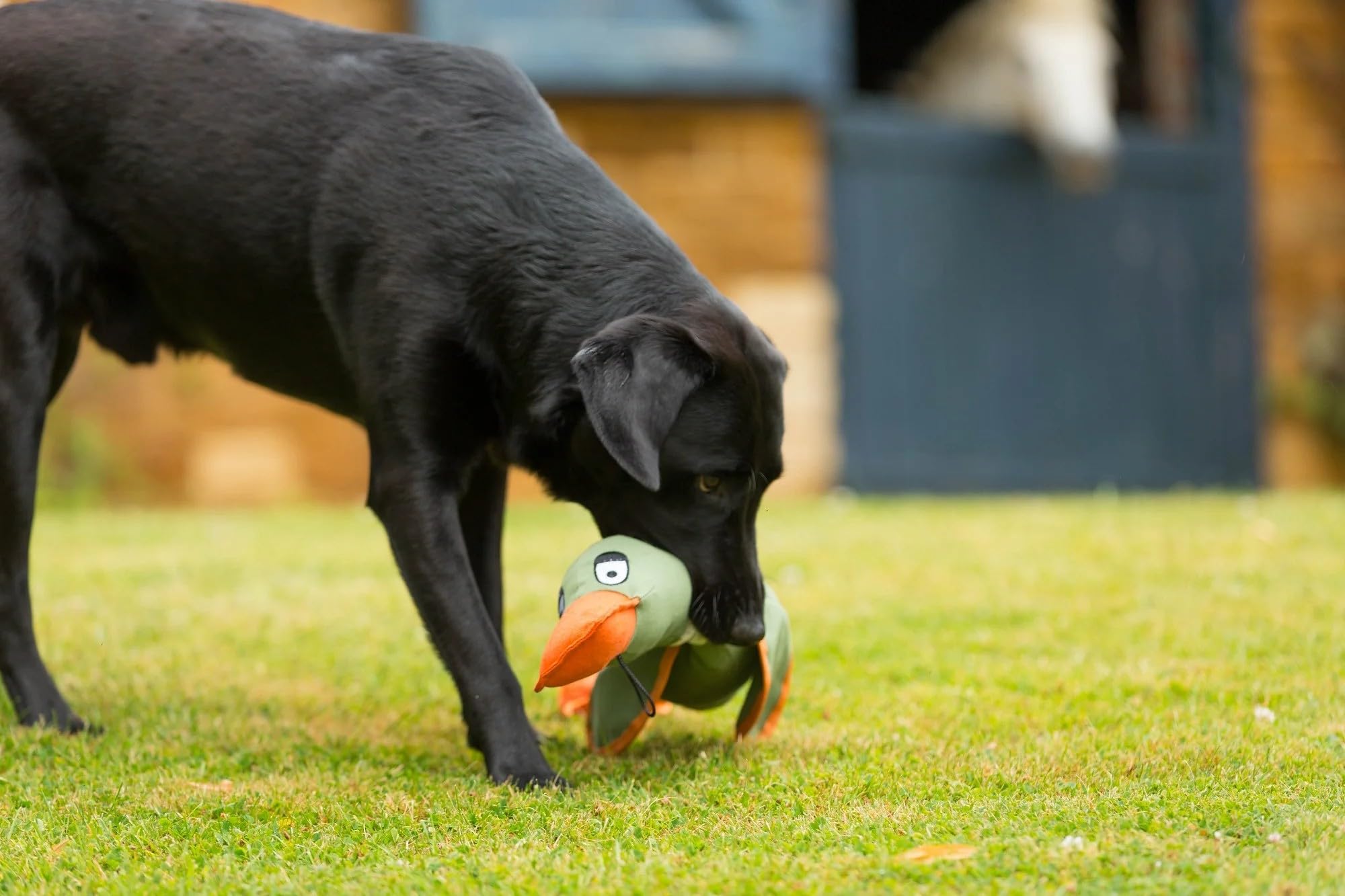 Durable Khaki Duck Canvas Dog Toy - Interactive Fetch & Tug of War Play for Active Dogs - Perfect for Outdoor & Indoor Playtime
