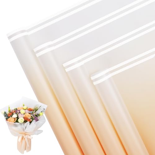 Gradient Champagne