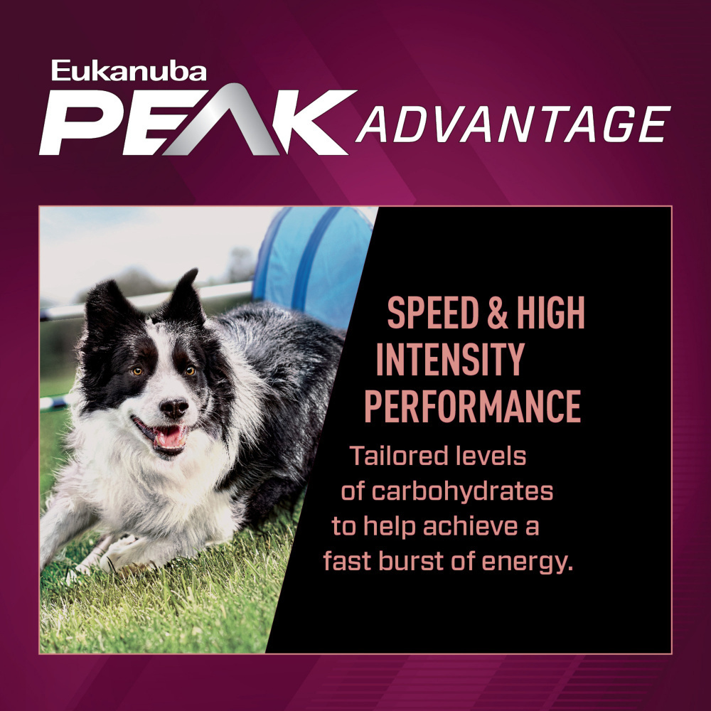 Eukanuba Premium Performance 21/13 Sprint Dry Dog Food - High Protein for Active Dogs - Ideal for Running, Hunting & Athletic Training
