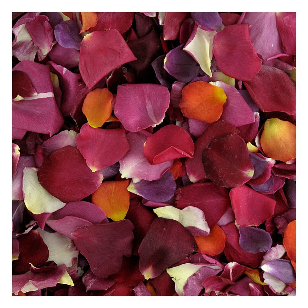 15 Cups Freeze Dried Rose Petals - Premium Preserved Roses for Wedding Decorations, Romantic Proposals & Spa Baths | Natural Petal Confetti for Special Occasions