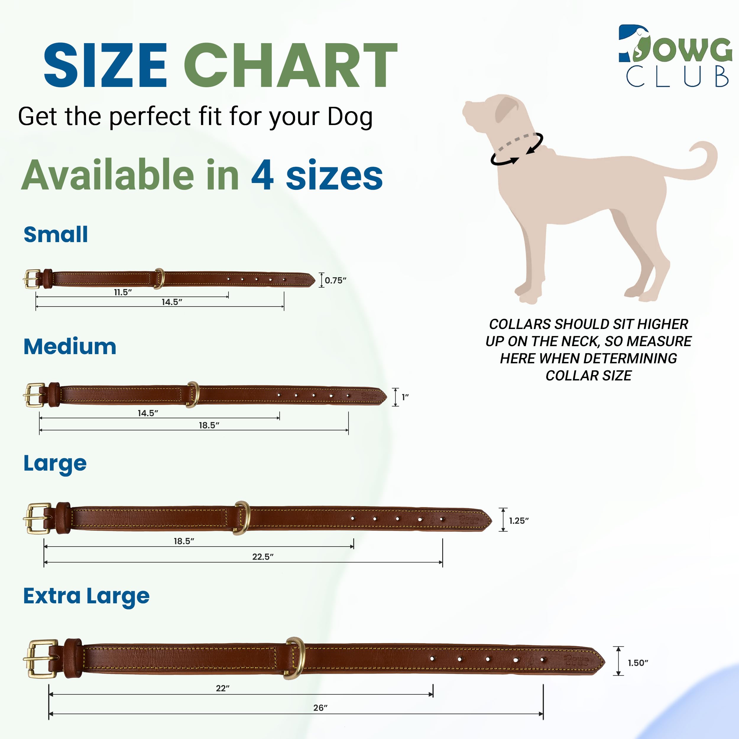 Premium Genuine Full Grain Leather Dog Collar for Medium Dogs - 1 Inch Wide, Heavy Duty with Soft Inner Padding - Comfortable & Durable (14.5