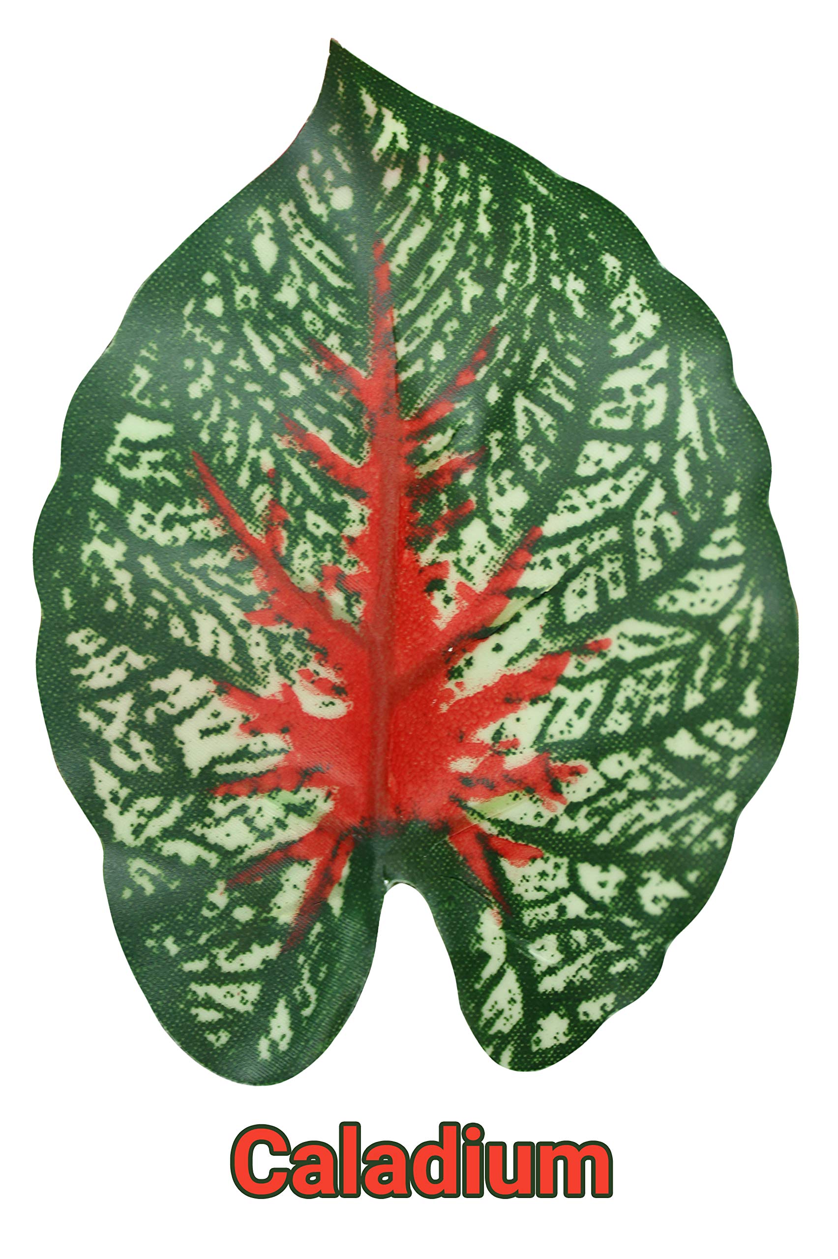 Pangea Leafy Vine for Reptile Terrarium Habitat - Artificial Caladium Plants for Lizards, Snakes & Geckos - Perfect for Climbing, Hiding & Natural Decor in Vivariums