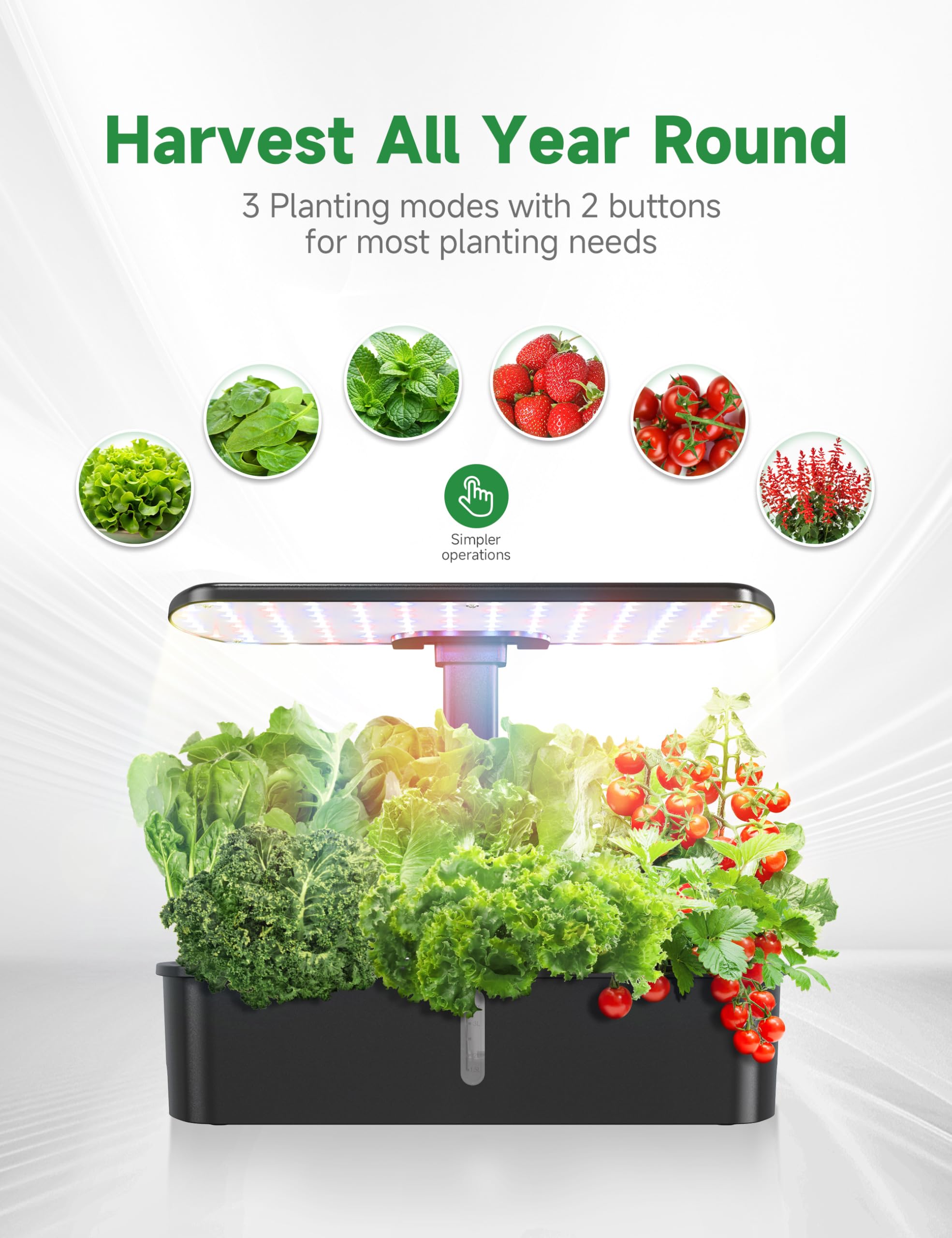 12 Pod Hydroponic Growing System Kit with LED Grow Light - Indoor Herb Garden for Kitchen, Countertop, Home - Smart Planting Kit for Lettuce, Basil & Fresh Greens - Perfect for Urban Gardening & Small Spaces