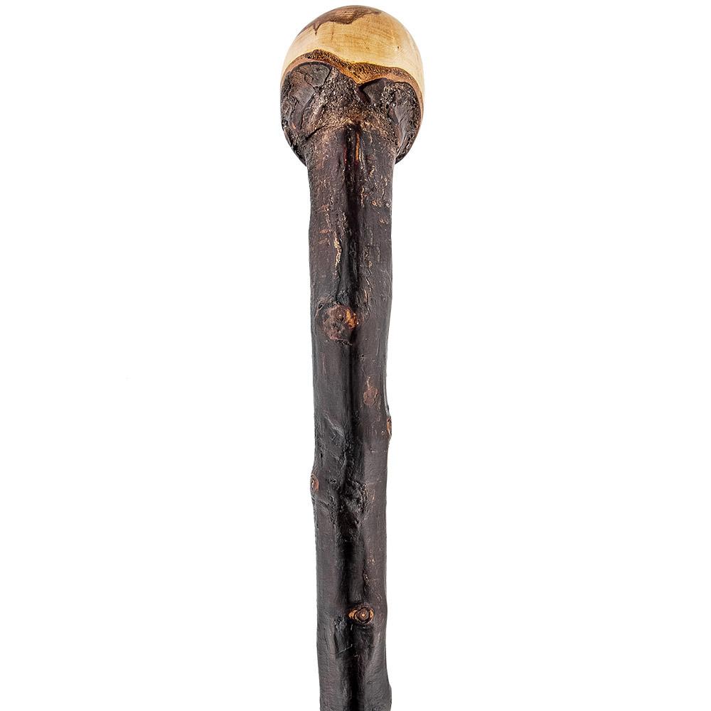 Premium Extra Long Root Knobbed Walking Stick - Handcrafted Blackthorn Shaft for Hiking, Trekking & Outdoor Adventures - Durable Support for Seniors & Hikers